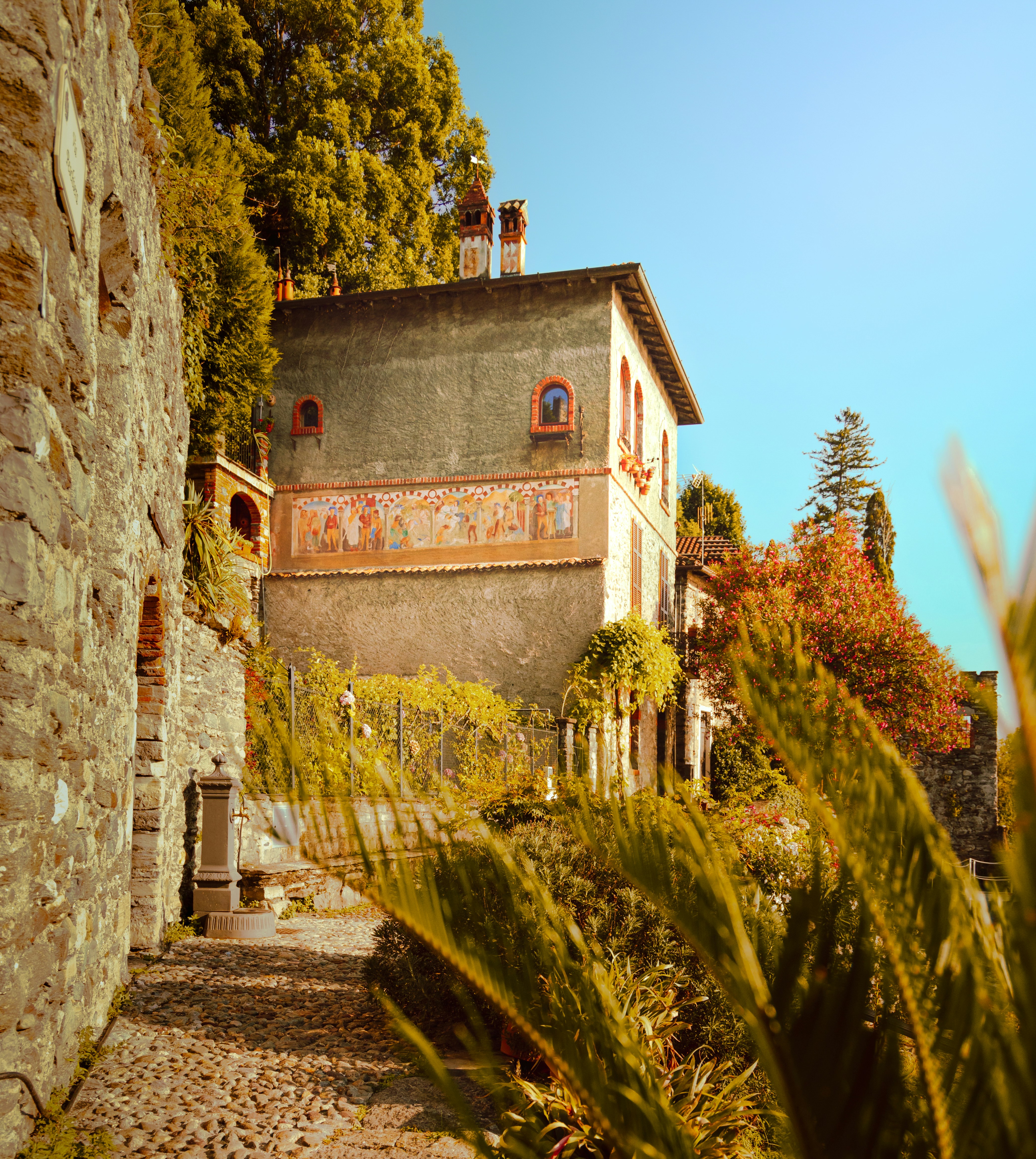 Photo by nik_nikolla_