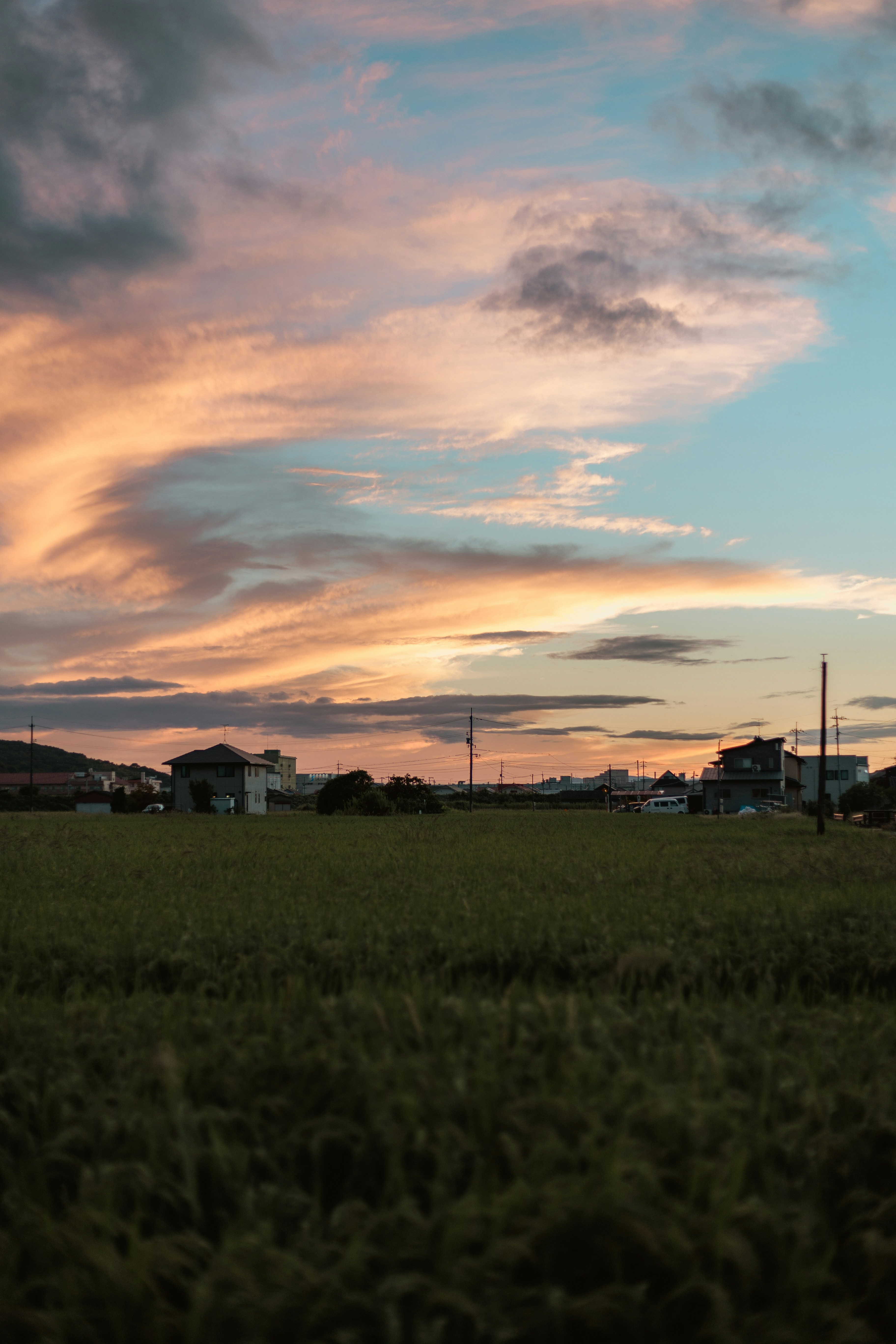 Photo by gakusuyama