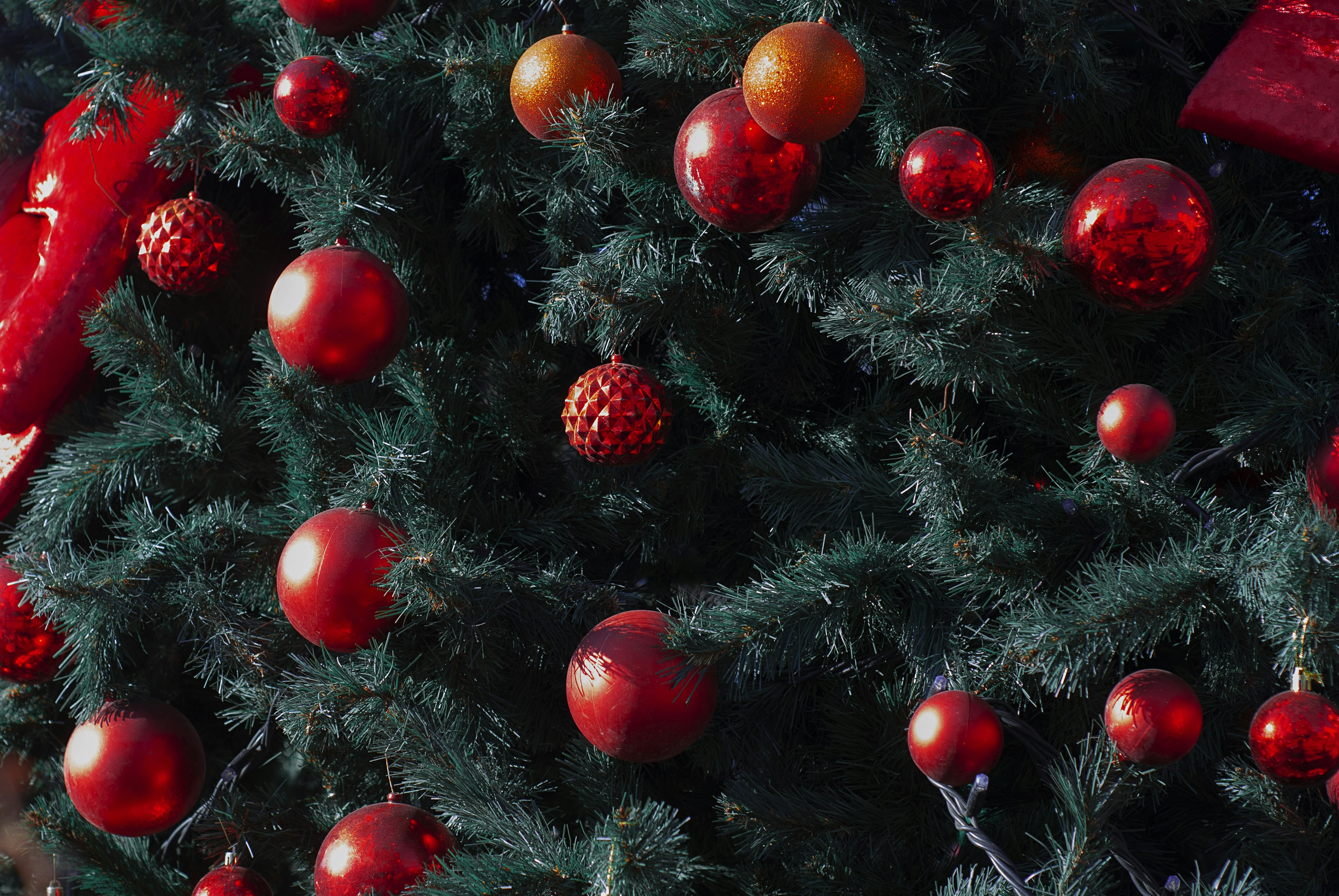 Photo by kovalskihelga