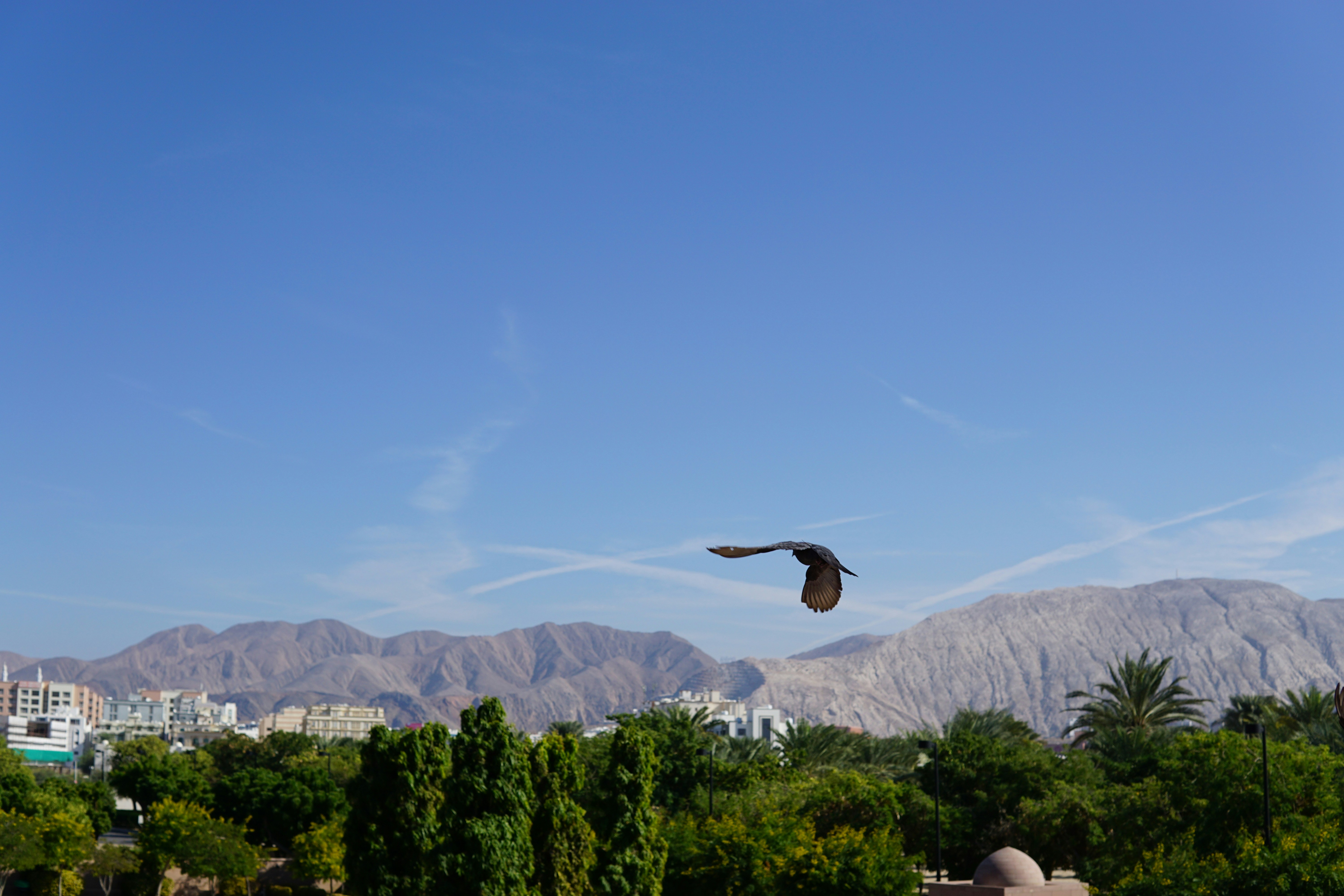 Muscat – Natural Environment & Landscapes