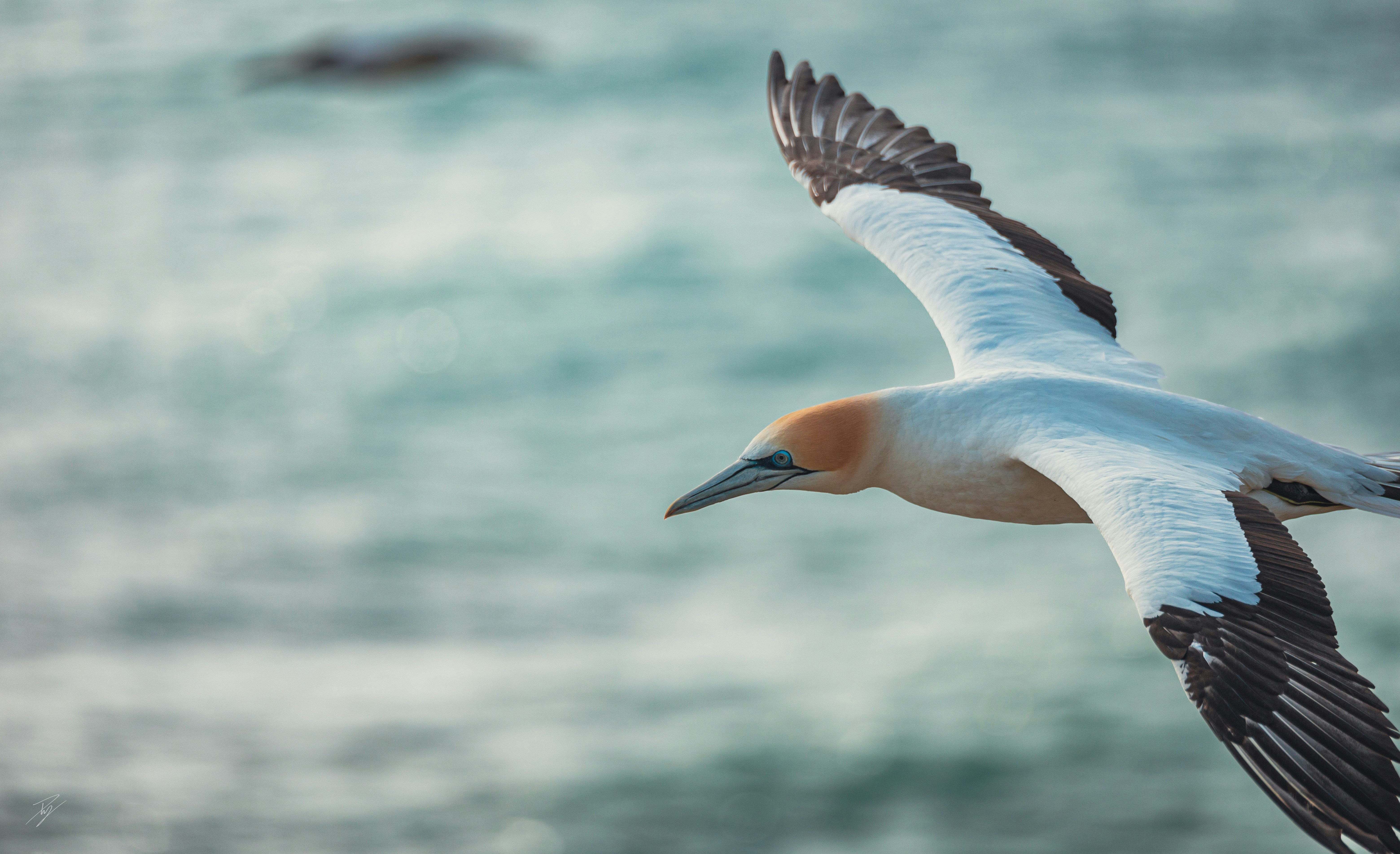 Photo by ptky_photography