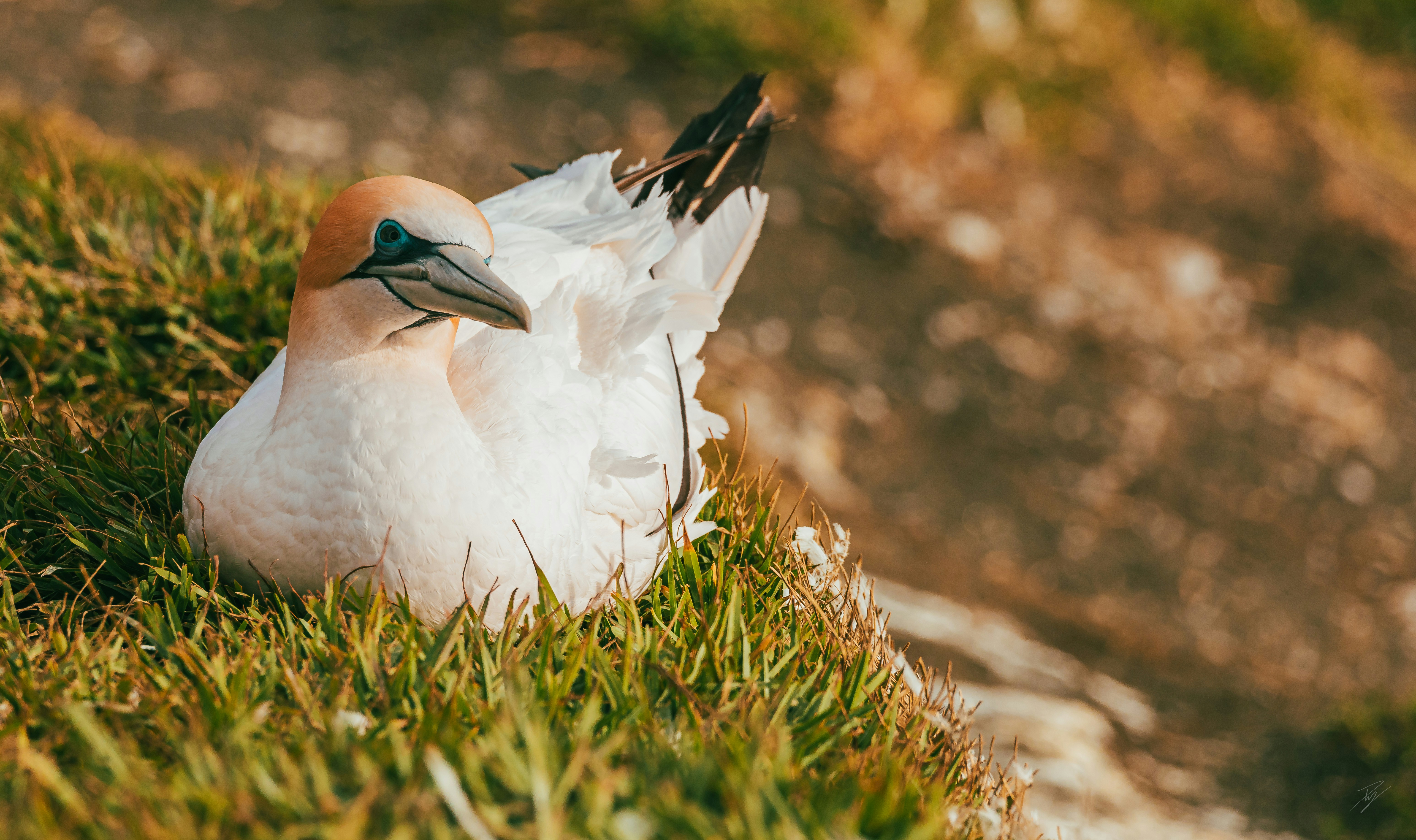 Photo by ptky_photography