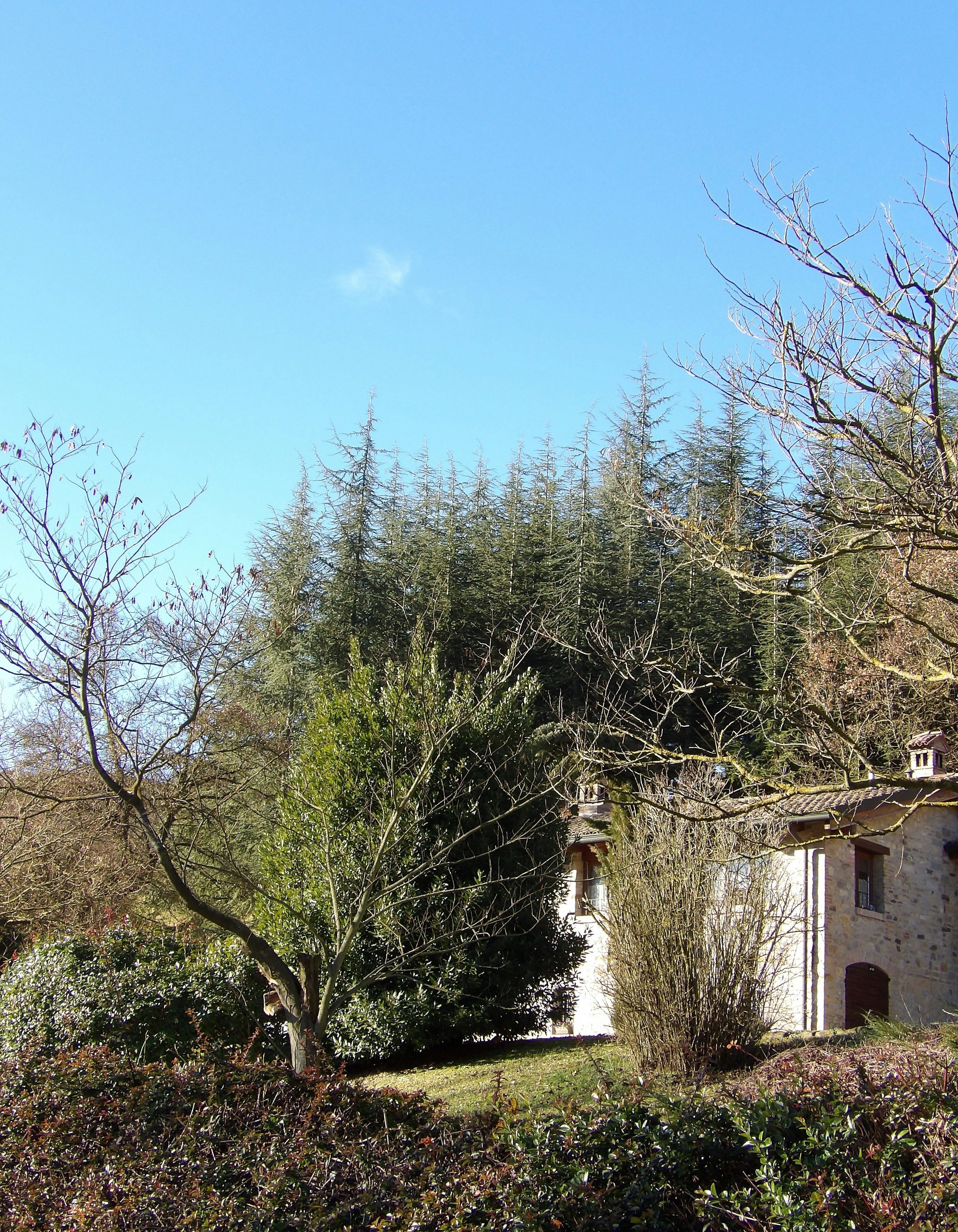 A white house surrounded by trees and bushes