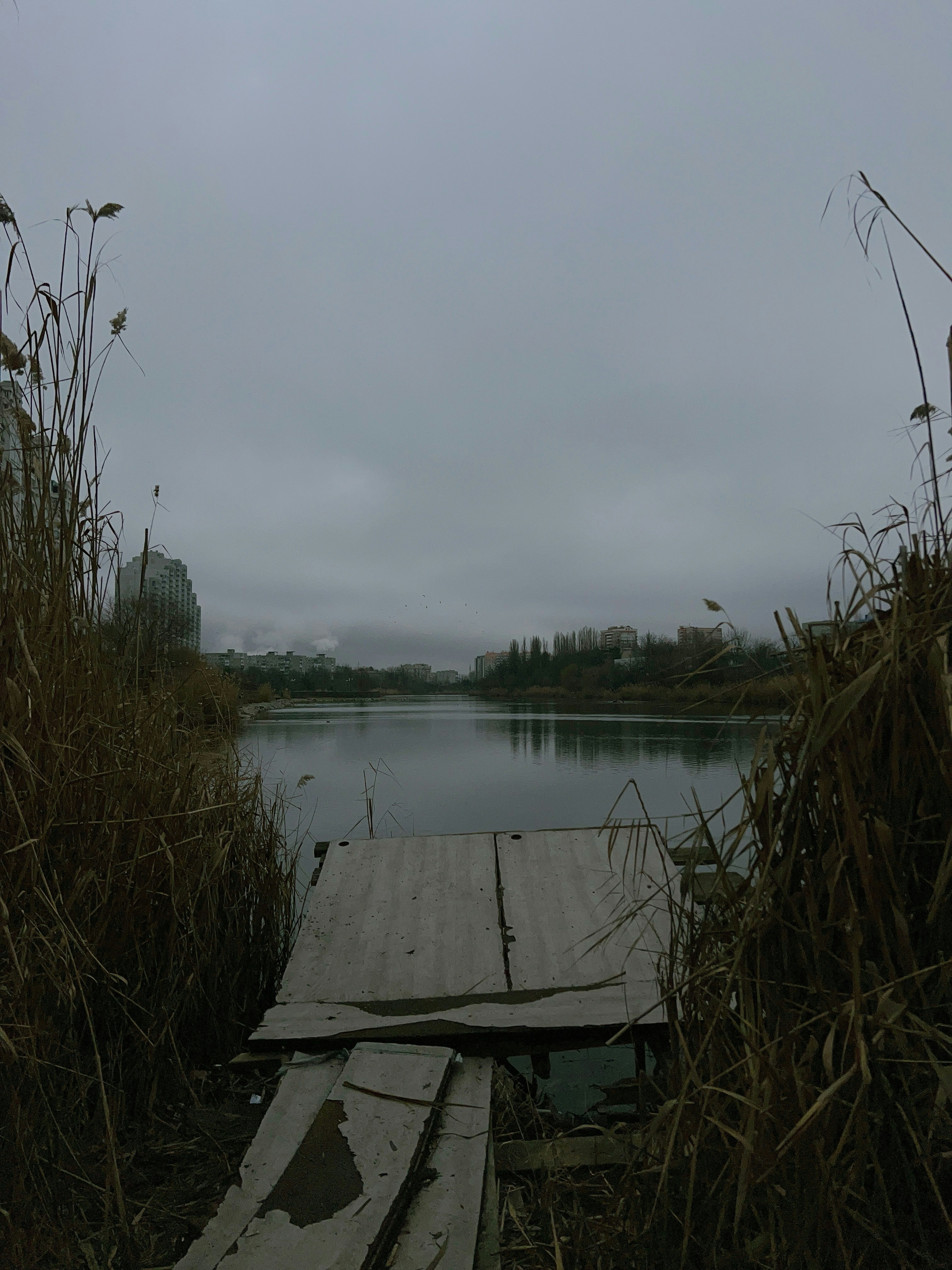Photo by lapchik_tsarapchik