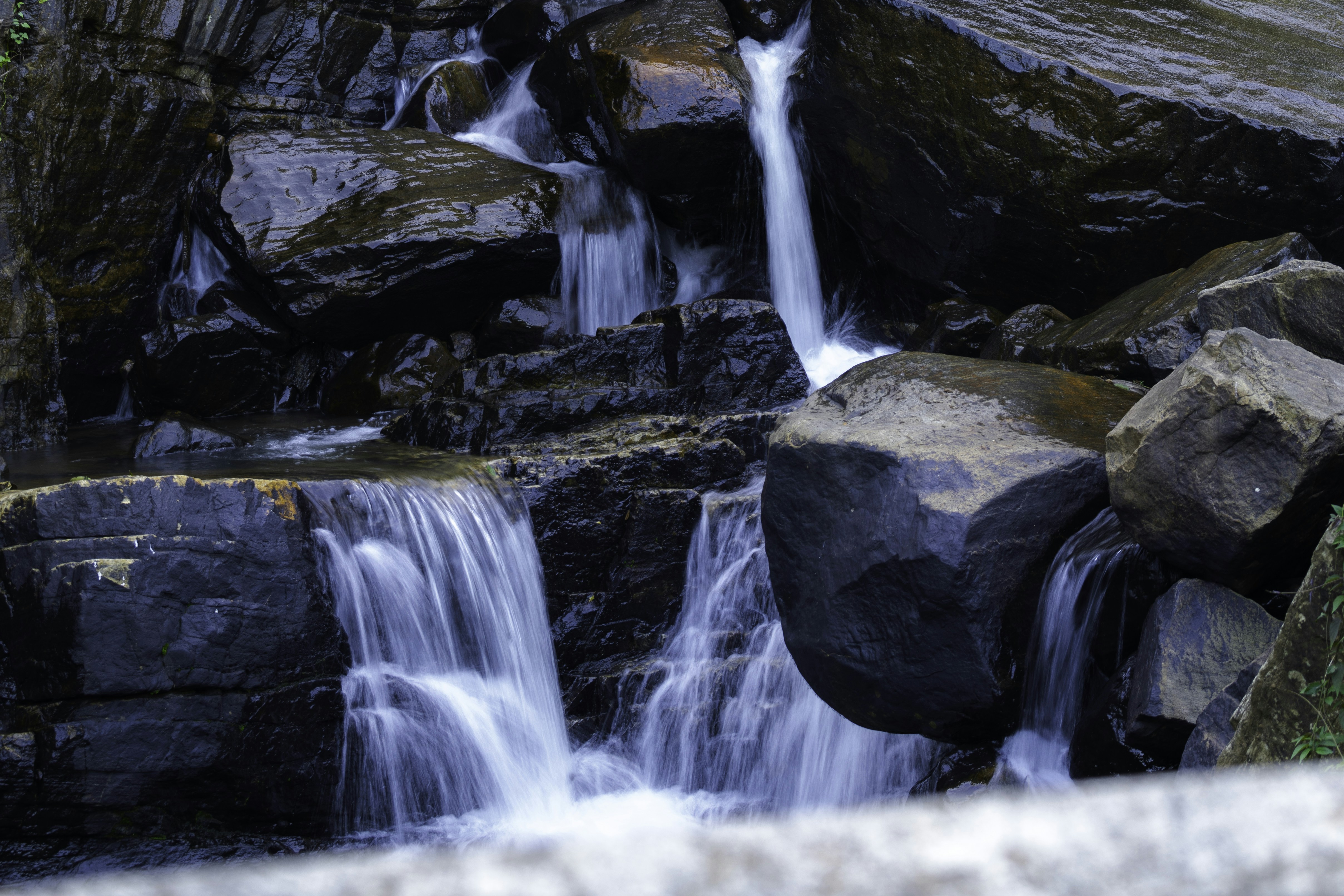 Photo by prasadmadusanka