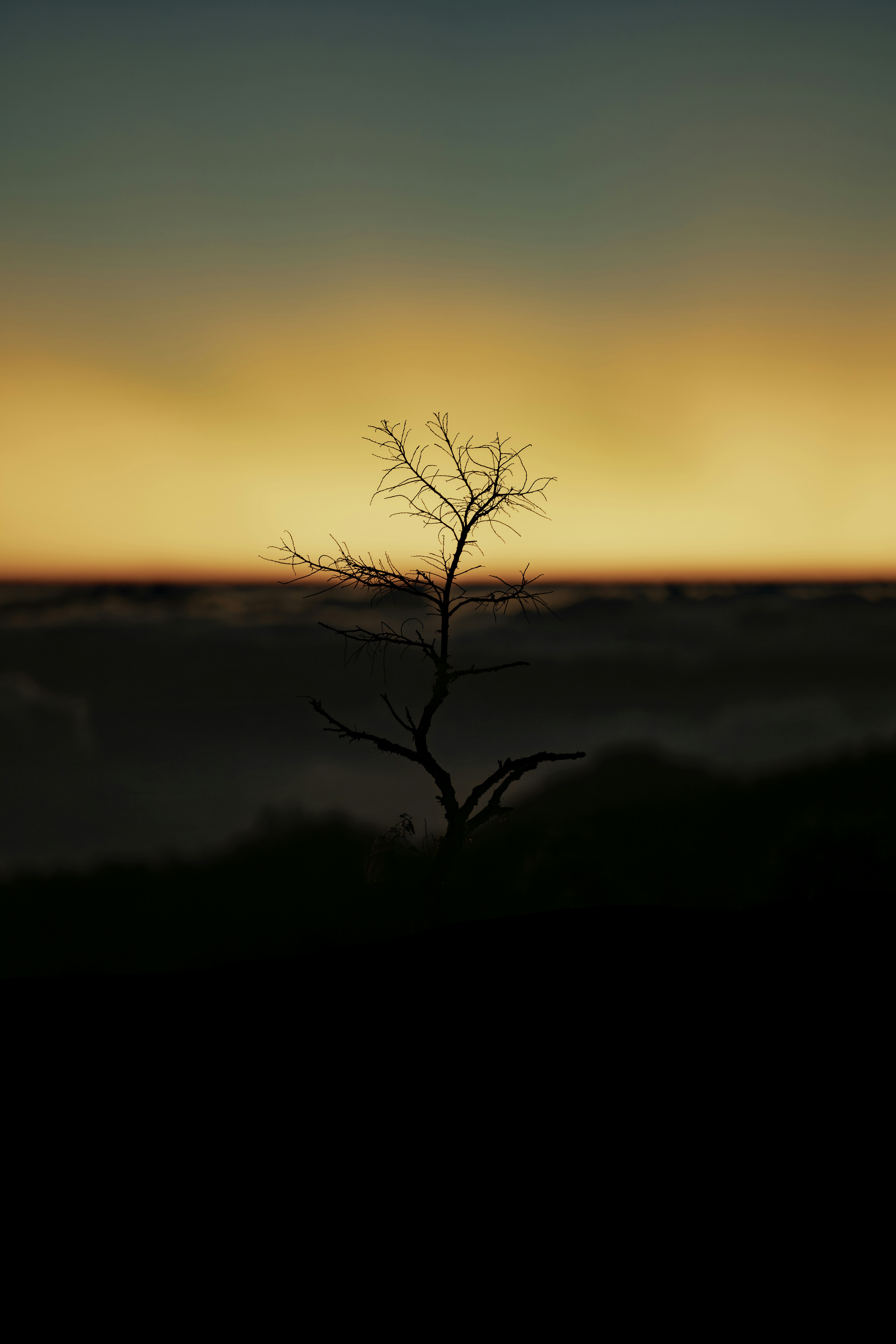 Photo by prasadmadusanka