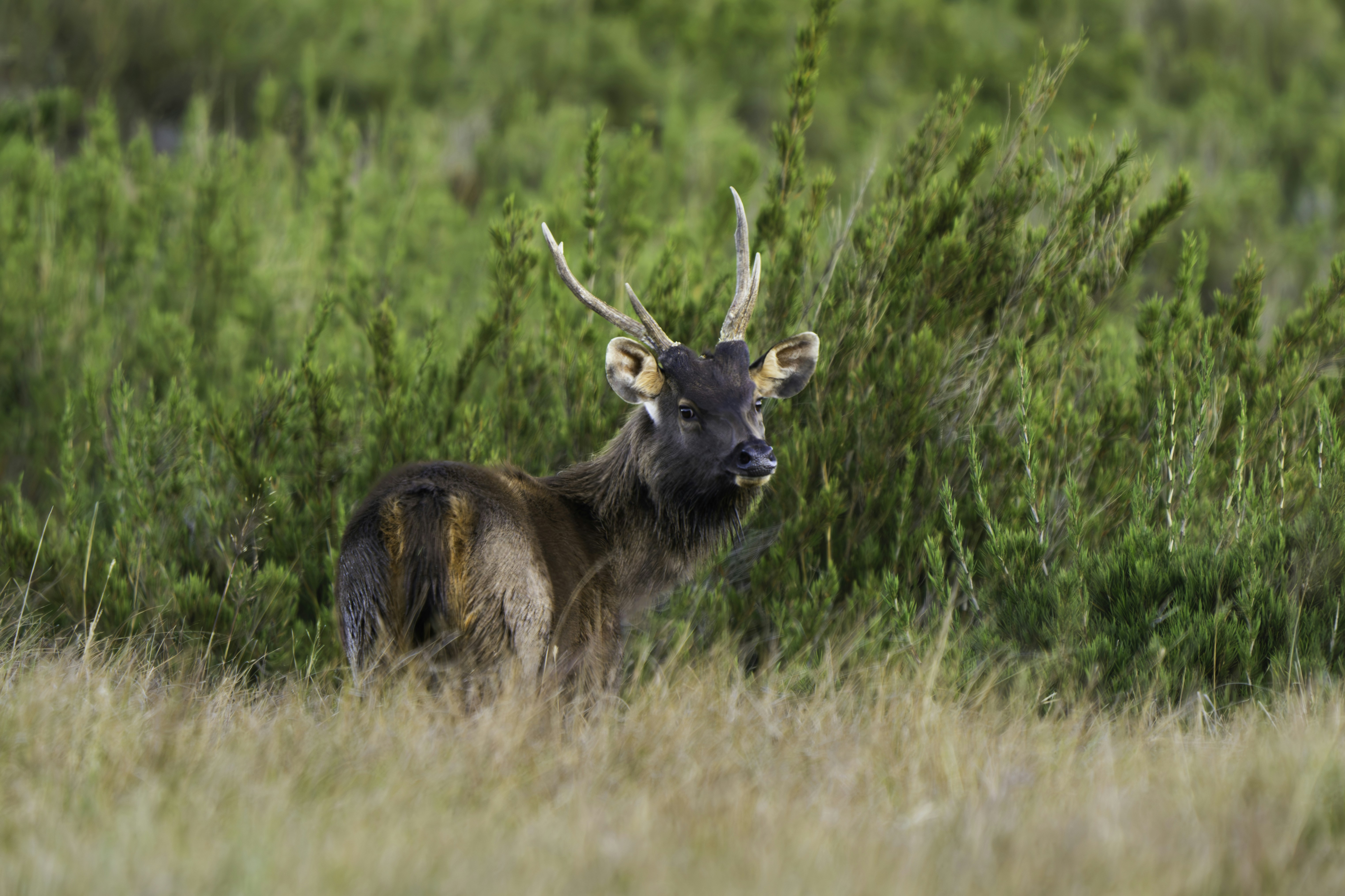 Aldona nature excursion and bird photography, image size:3000x2000
