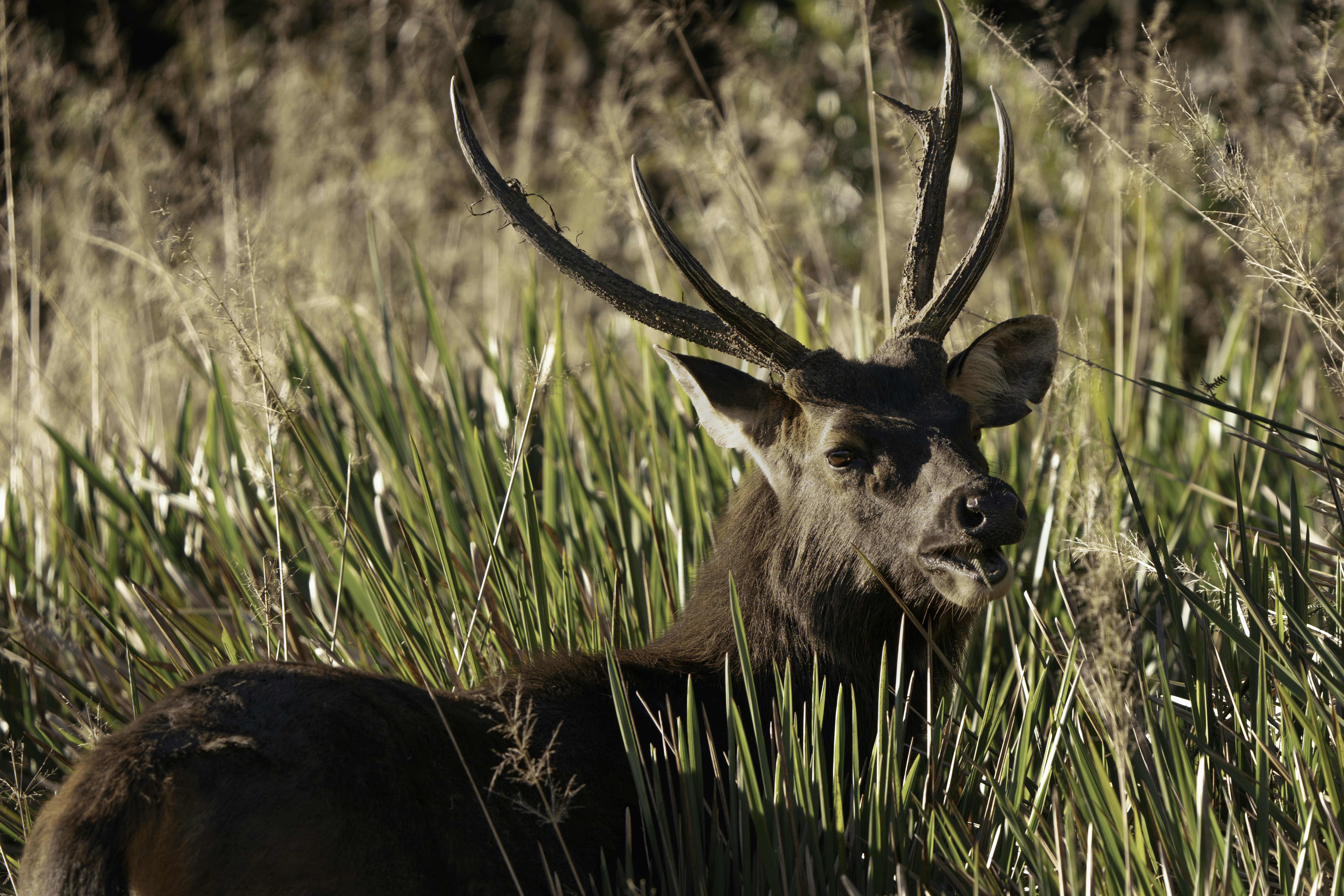 Photo by prasadmadusanka