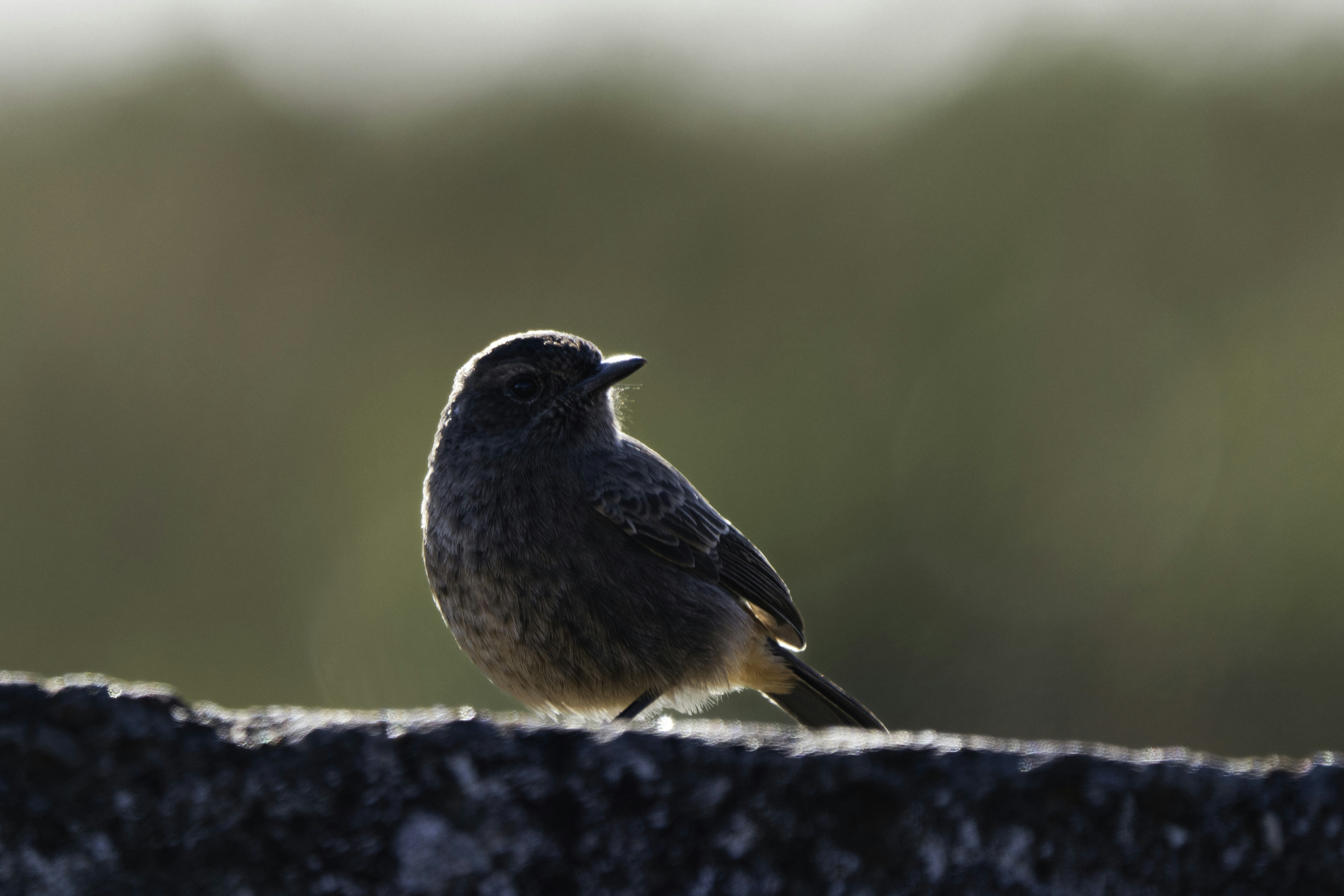 Photo by prasadmadusanka