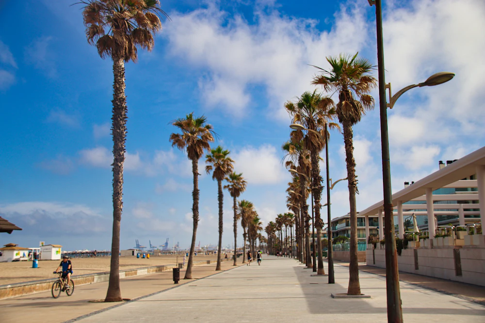 Language stay in Valencia, Spain