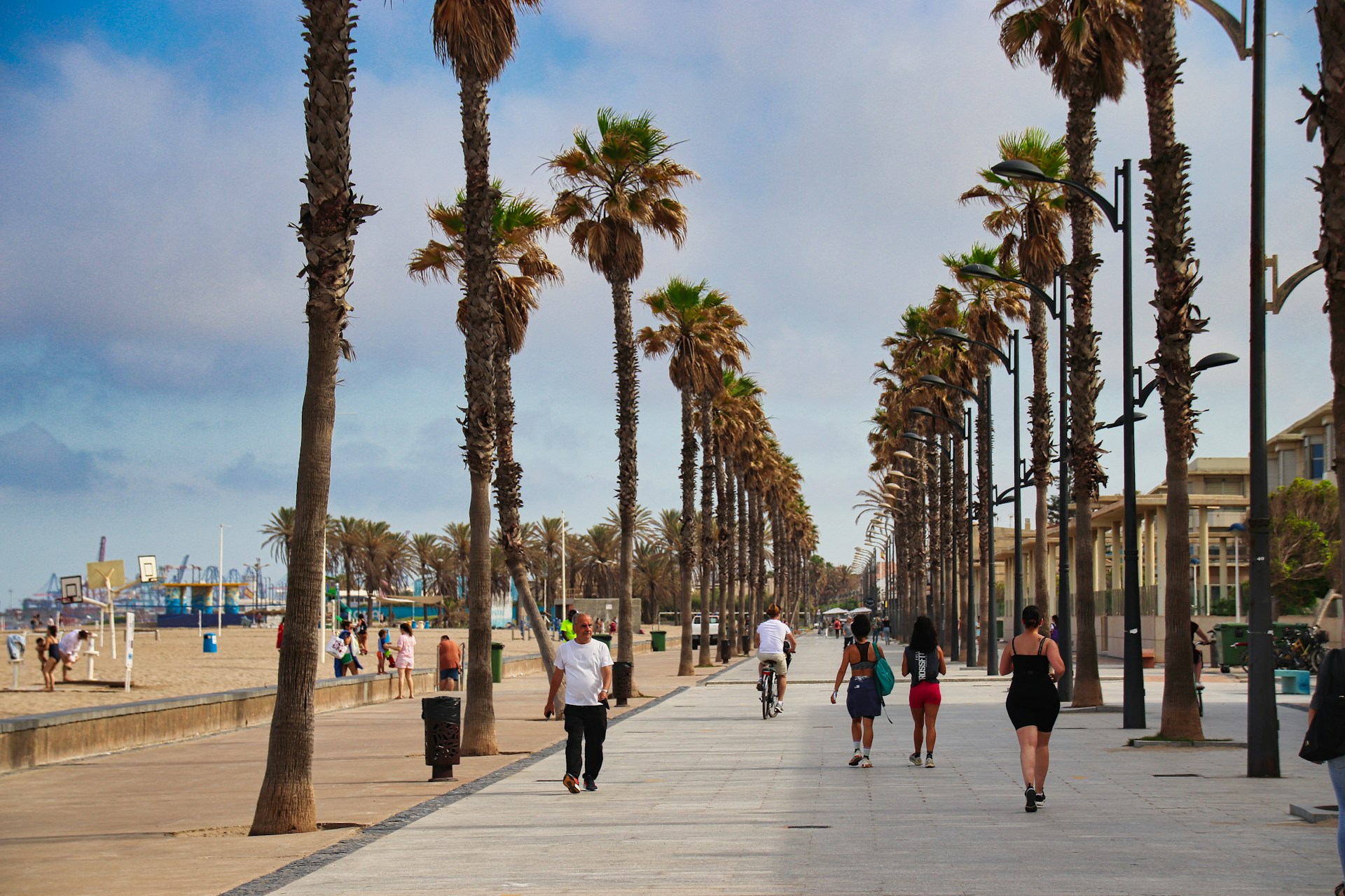 A group of people walking down a sidewalk next to palm trees