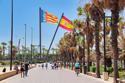 A group of people walking down a street next to palm trees
