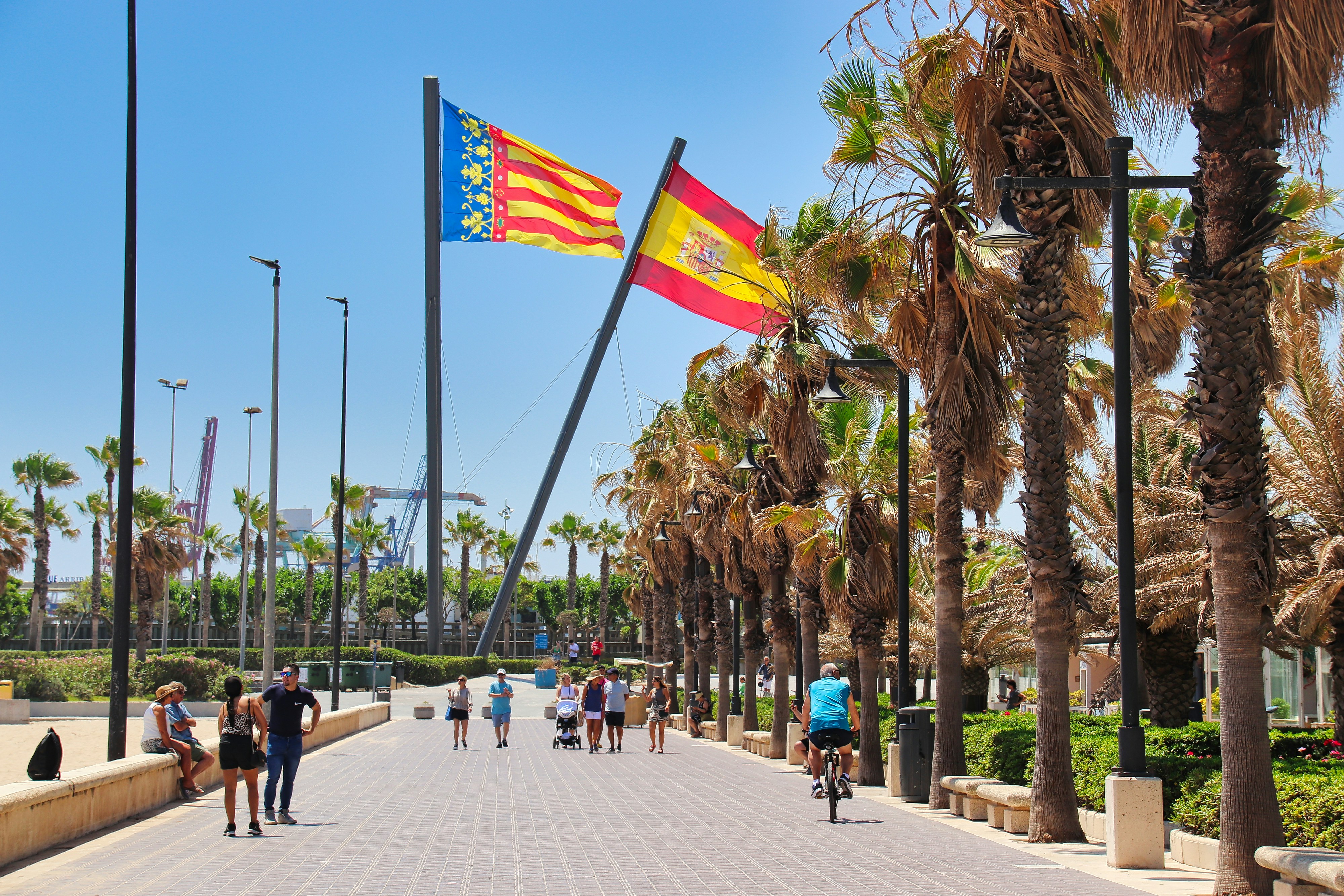 Las 20 mejores empresas para pista de auditoría y trazabilidad en Valencia