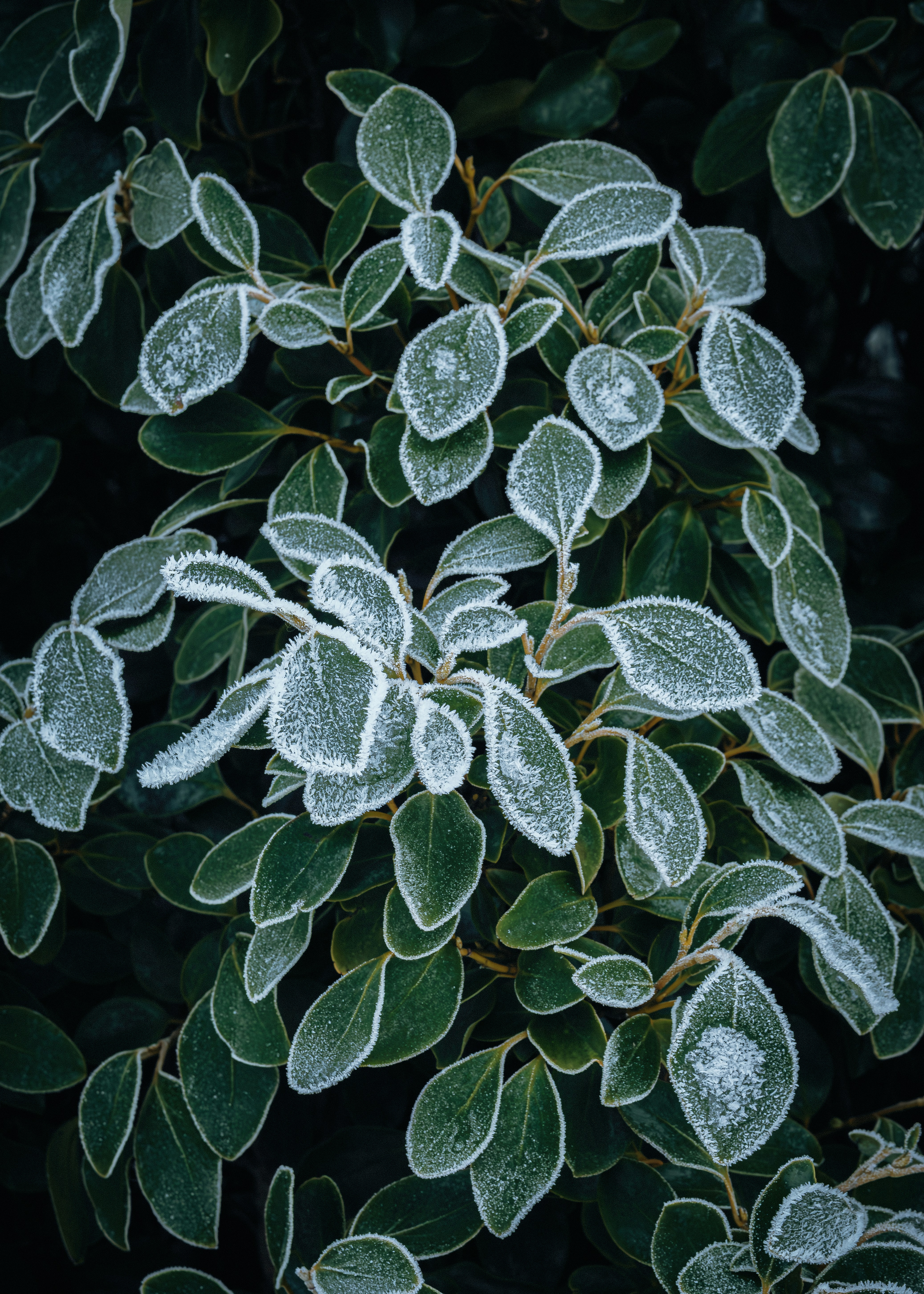 Photo by rory_tucker_photography