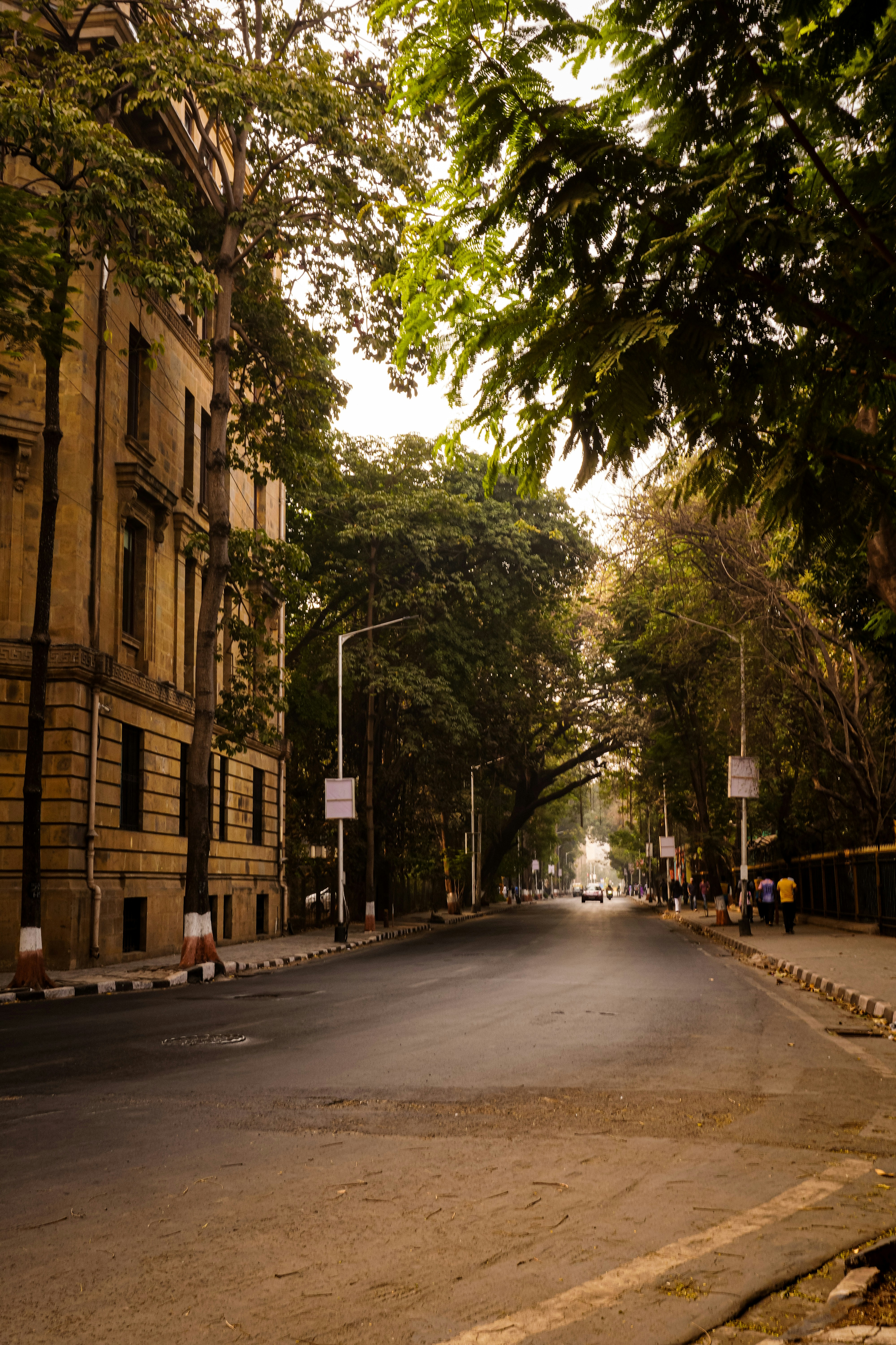 Photo by _muser_photography