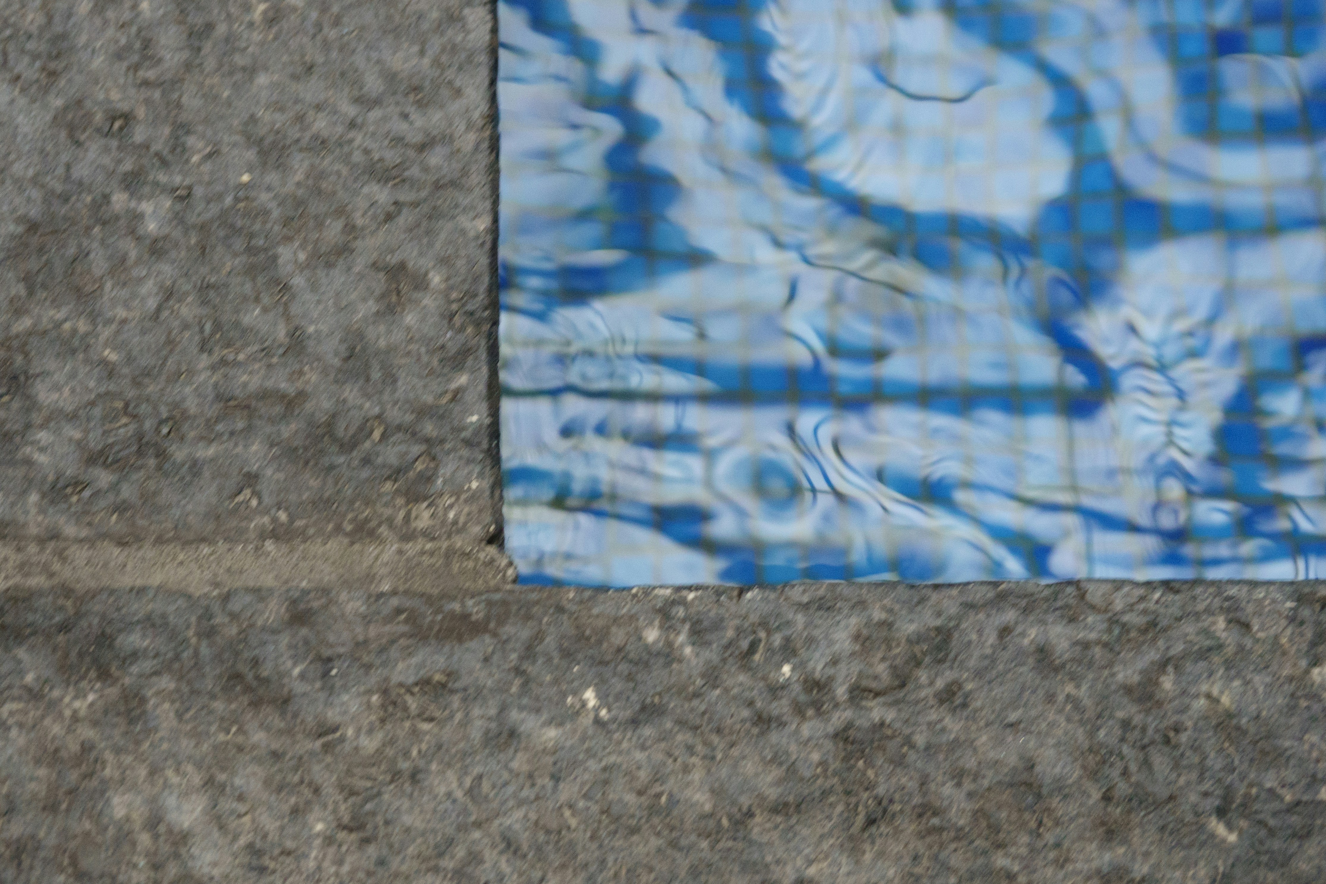 A close up of a piece of paper on the ground