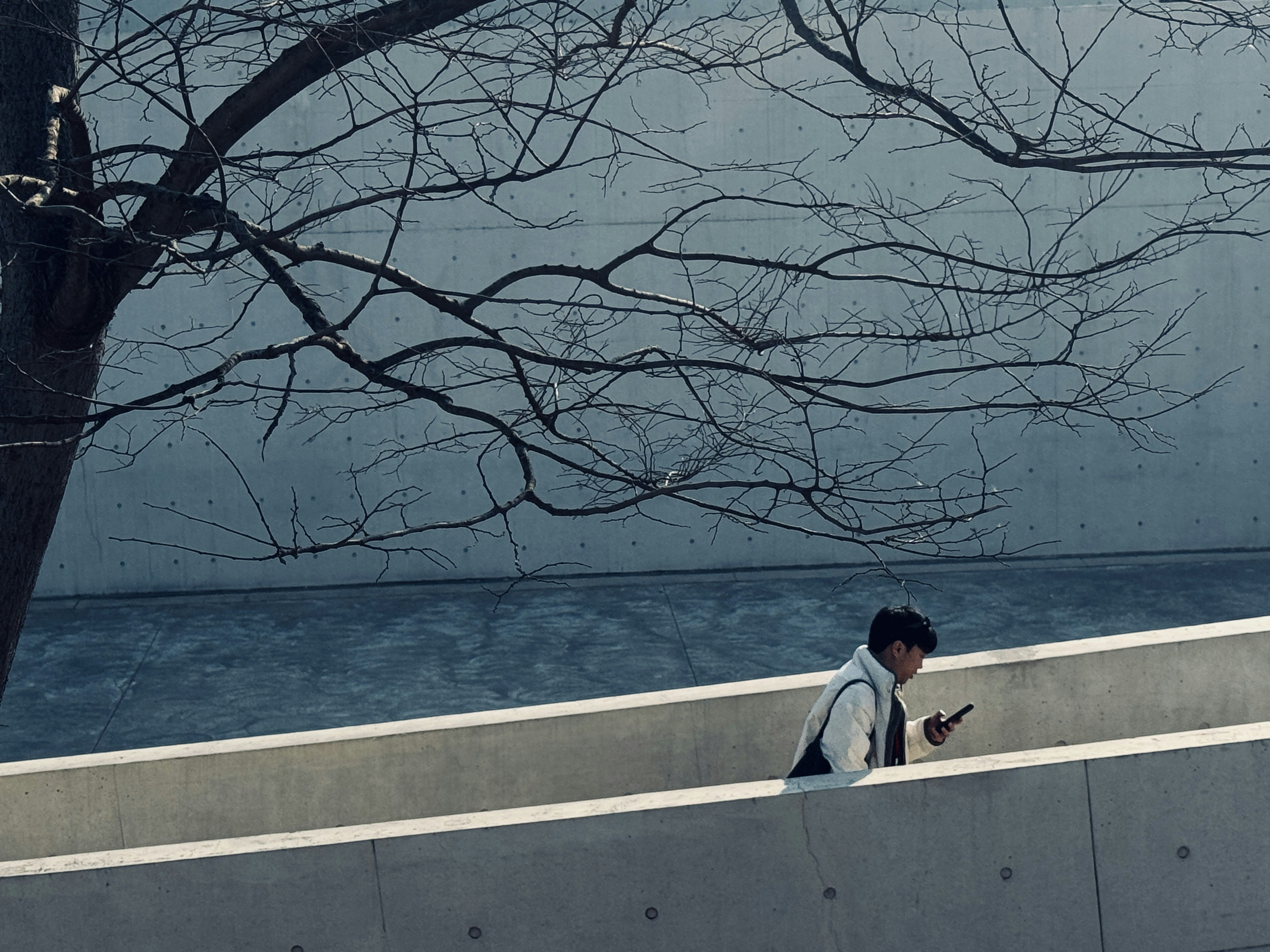 Un homme marchant sur un trottoir à côté d’un arbre