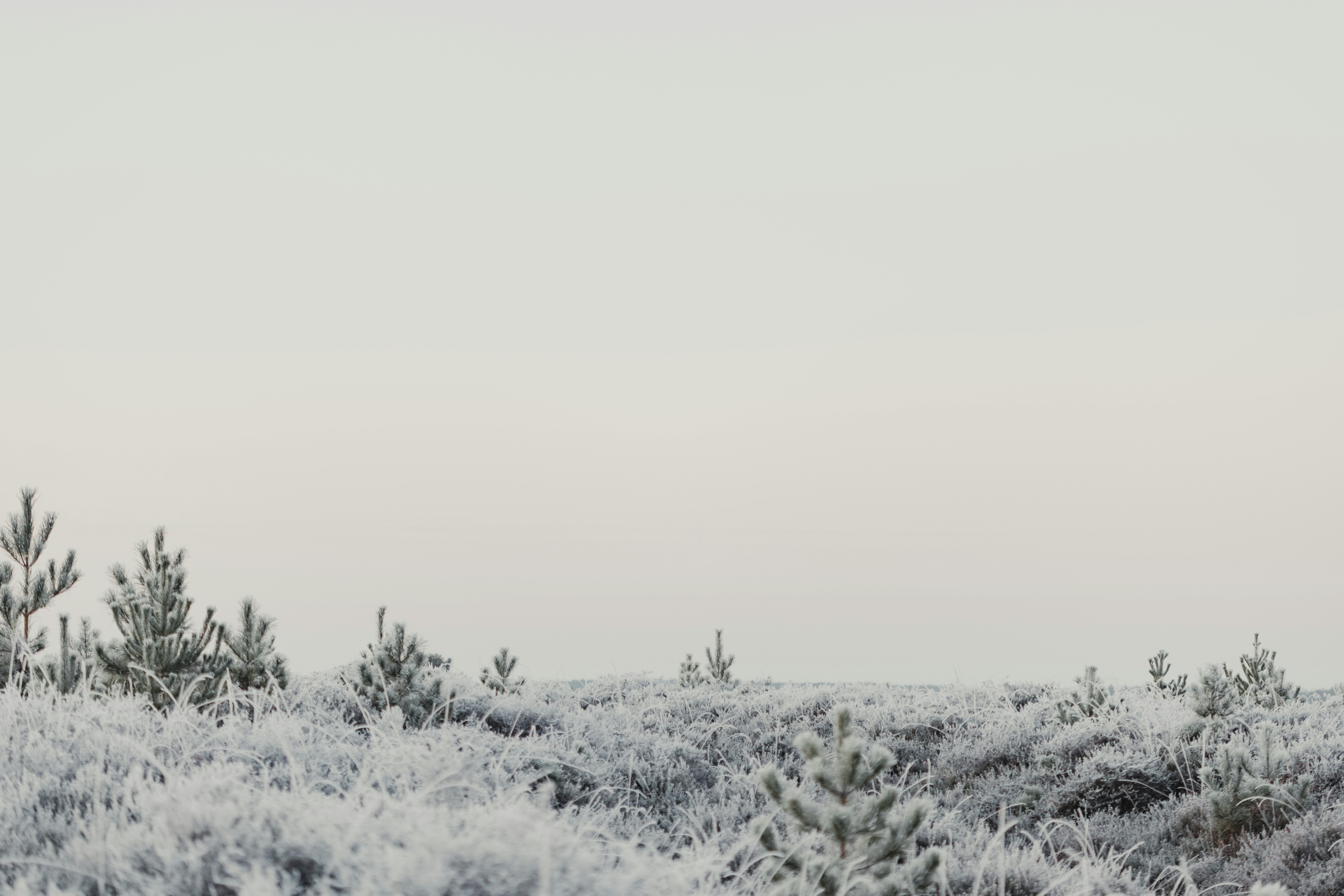 Photo by anniespratt