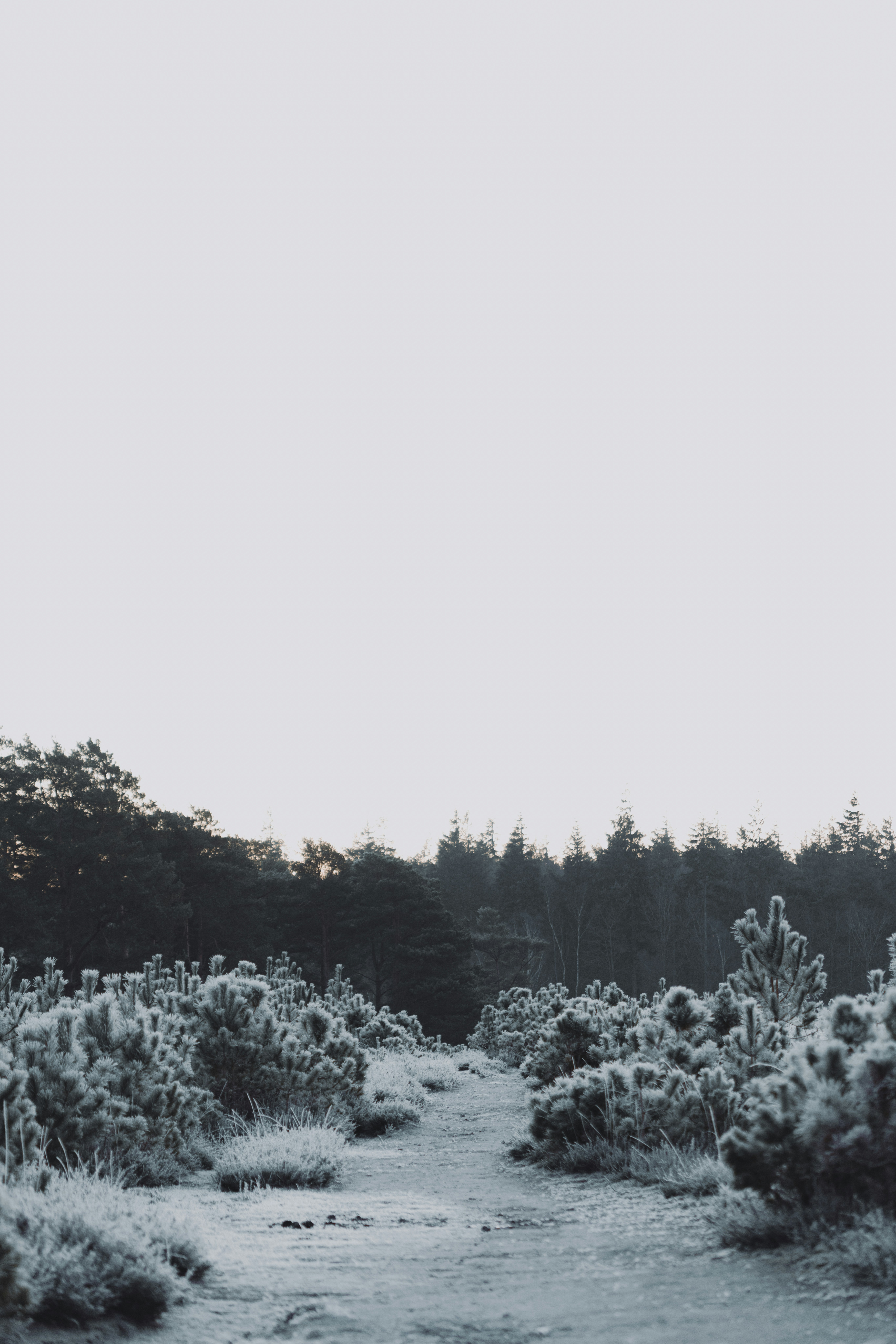 Photo by anniespratt