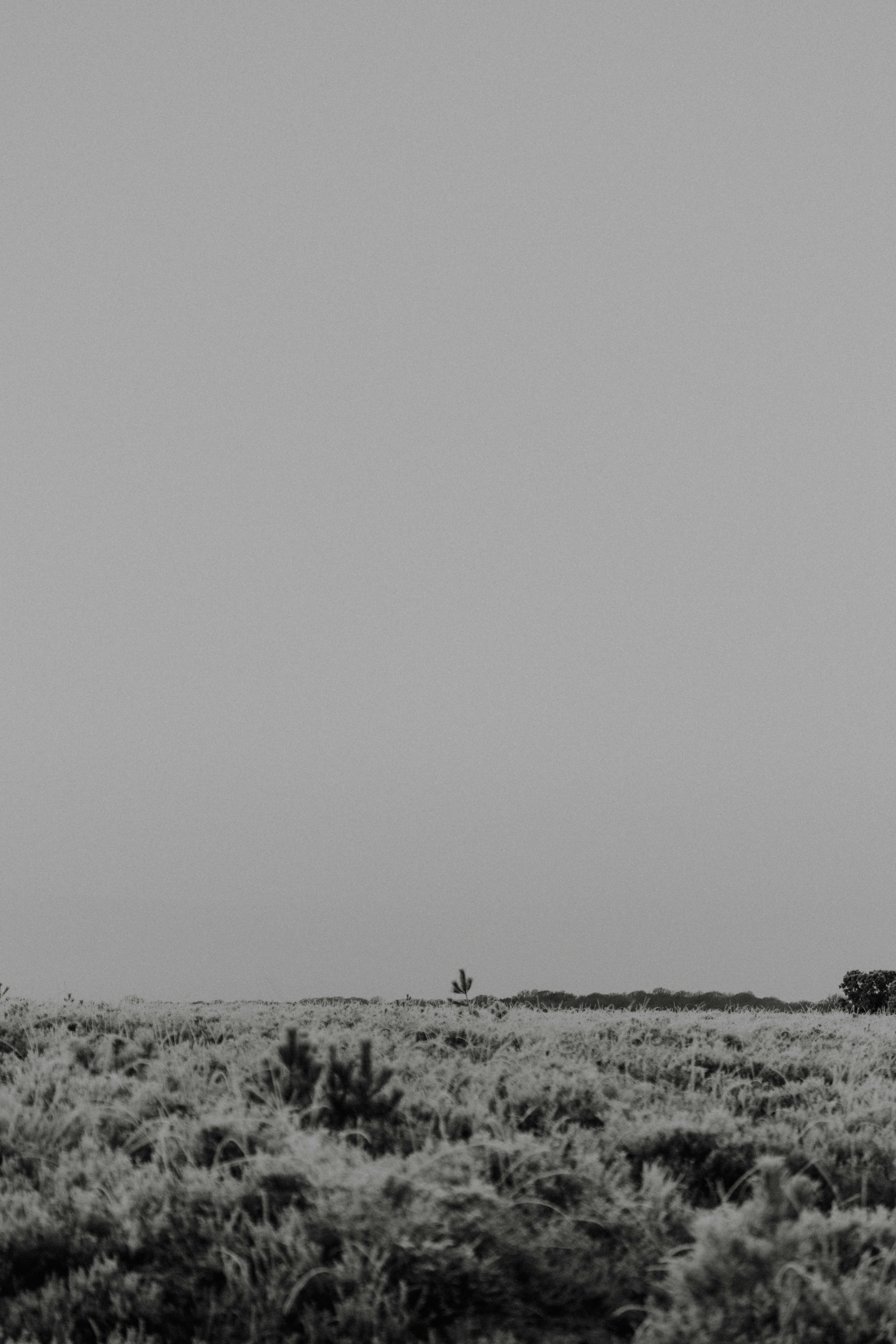 Photo by anniespratt