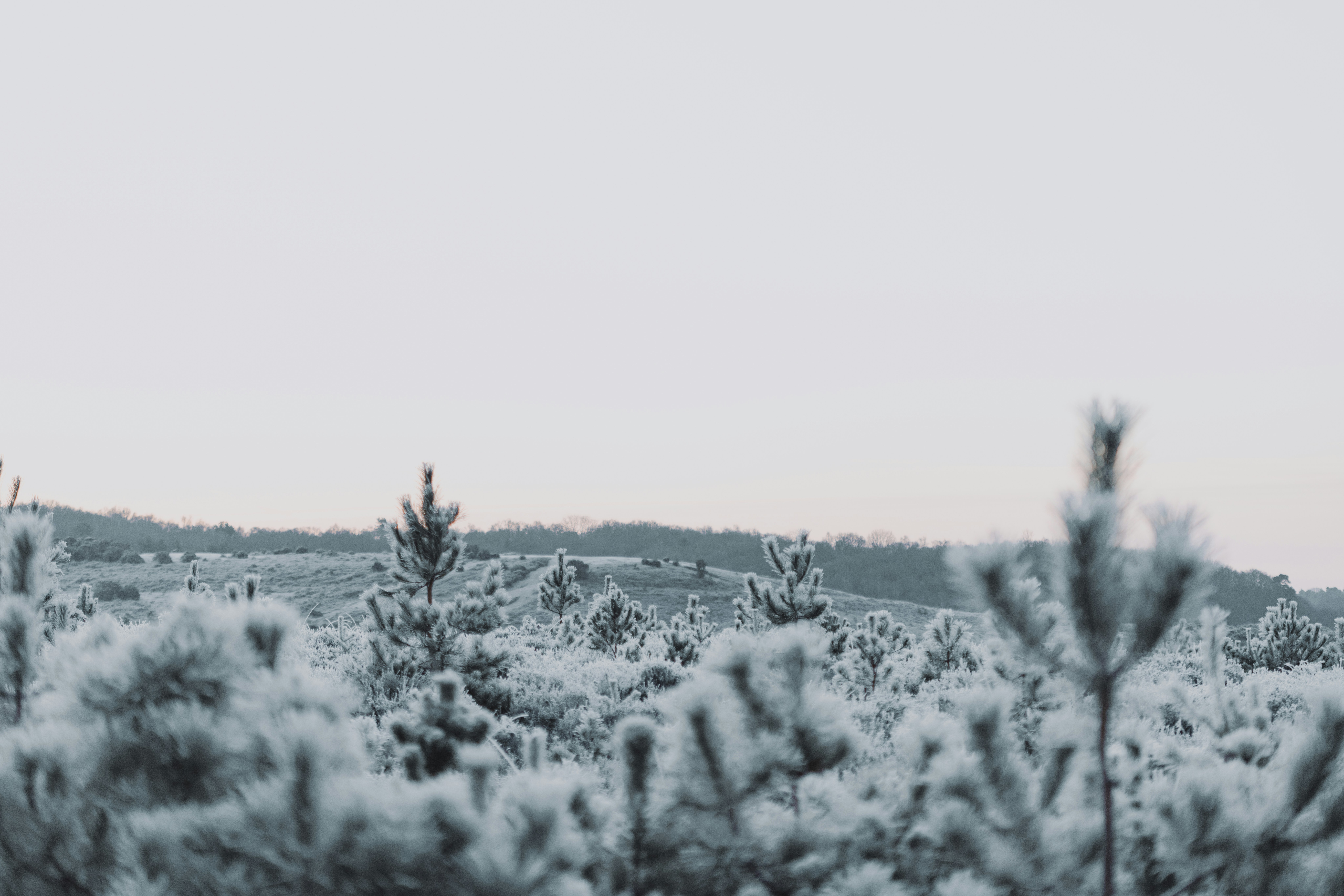 Photo by anniespratt