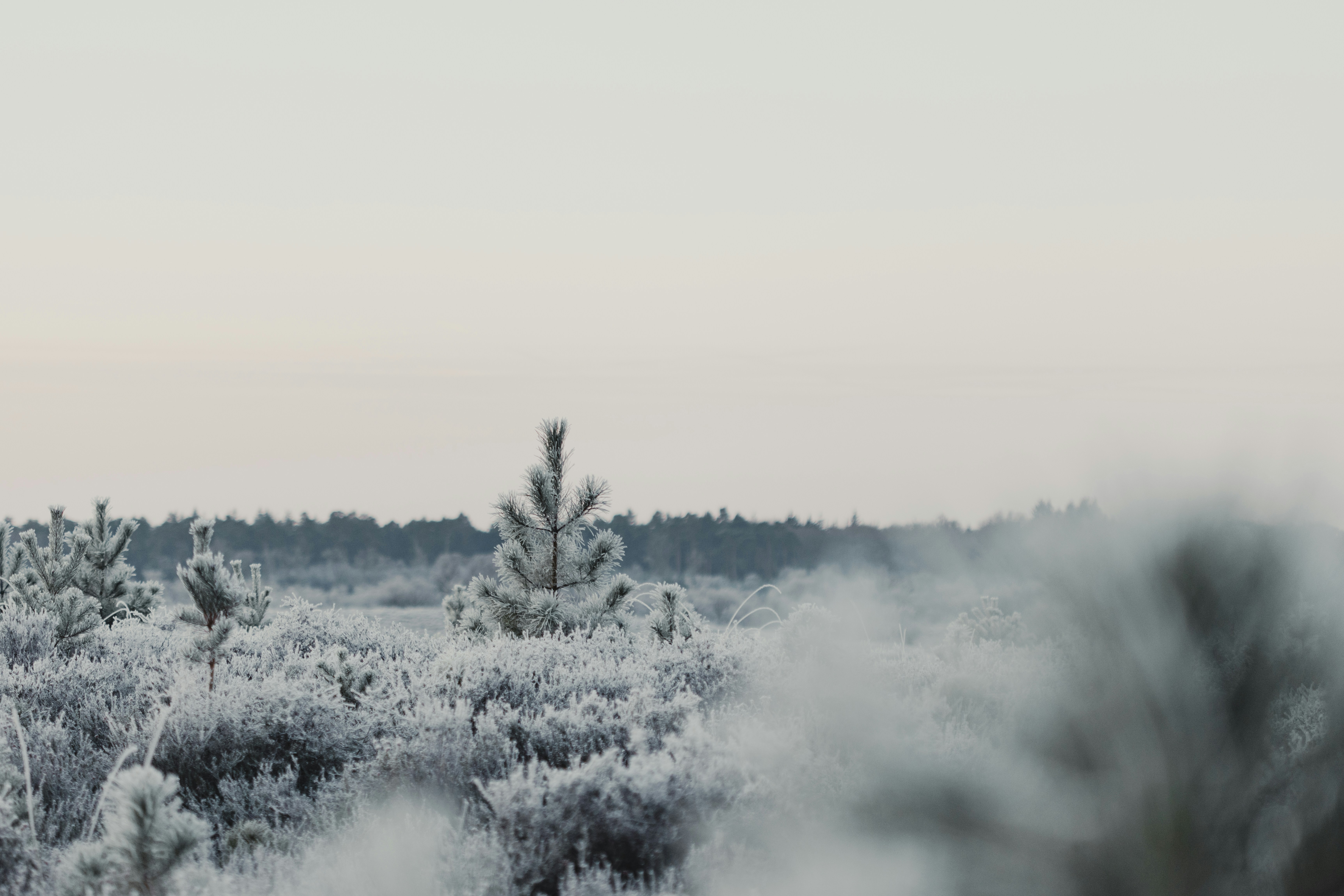 Photo by anniespratt