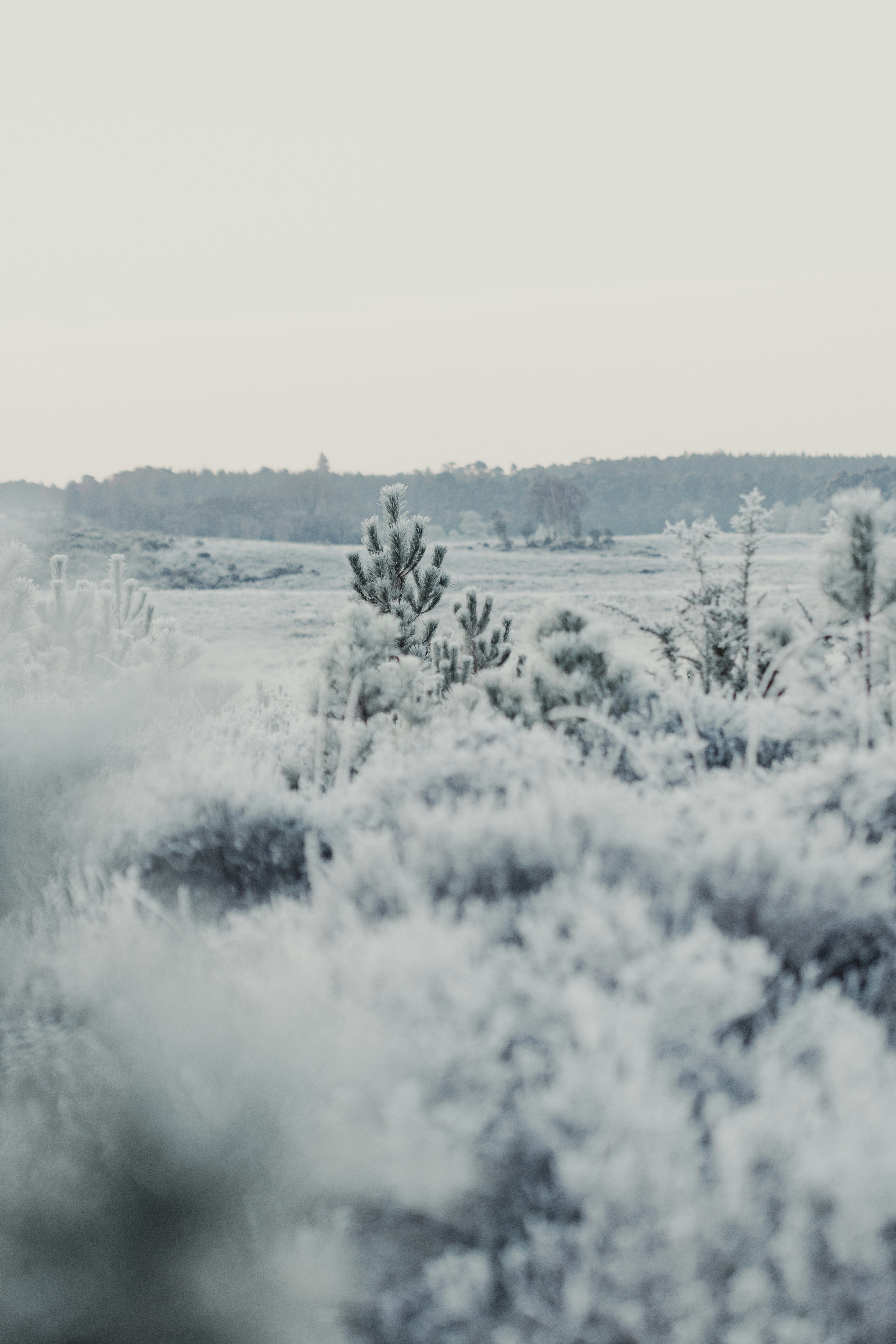 Photo by anniespratt