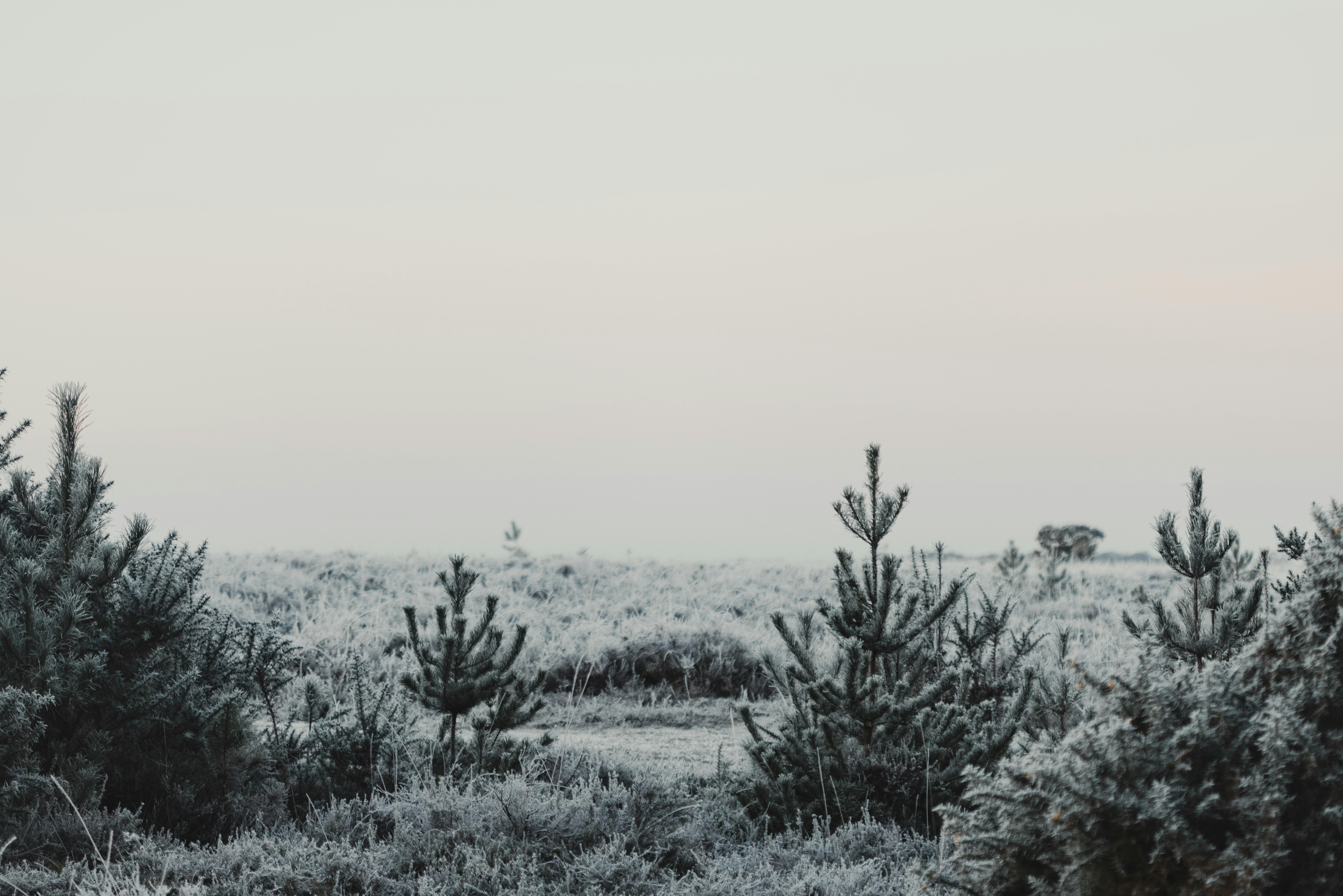 Photo by anniespratt