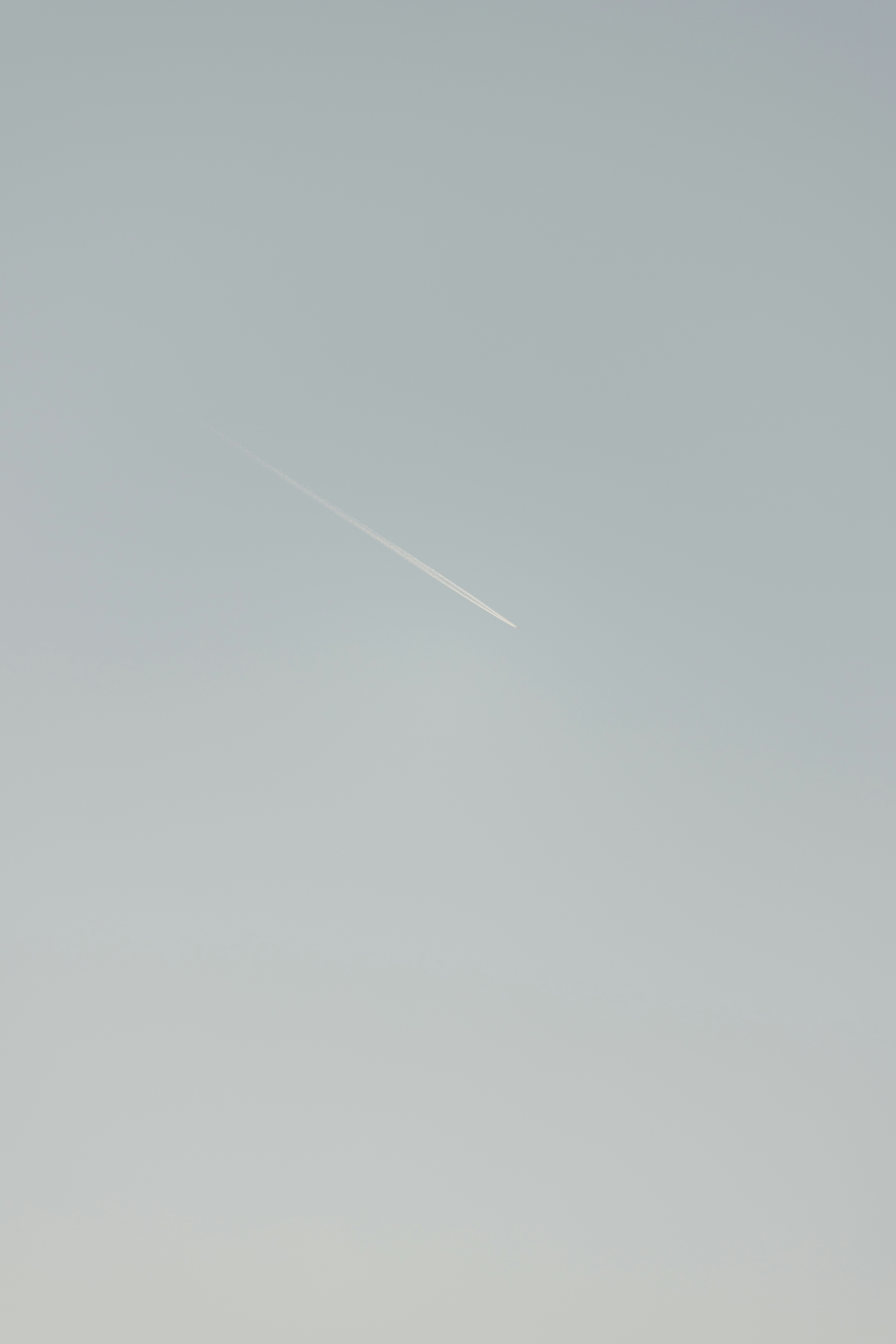 Photo by anniespratt