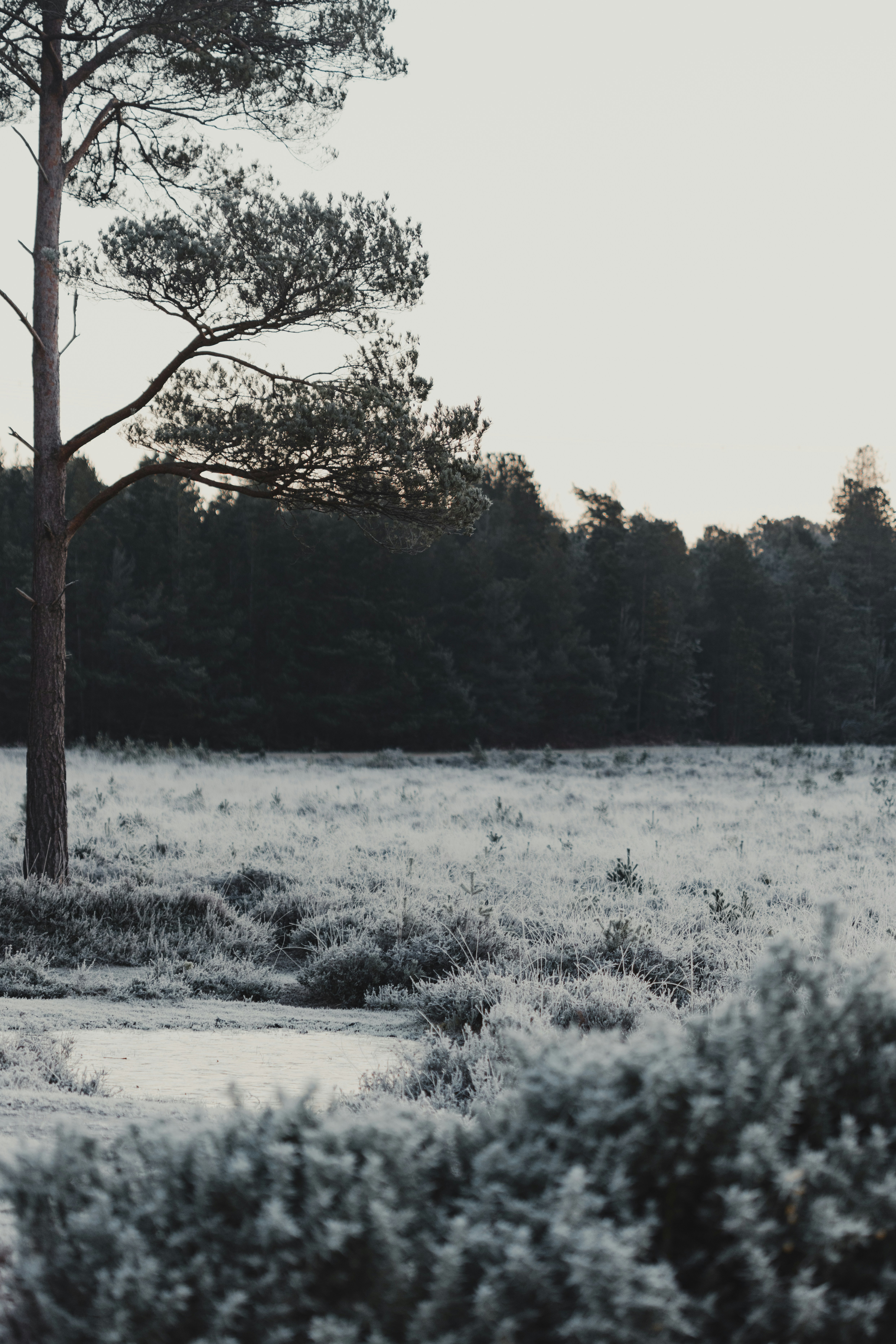 Photo by anniespratt