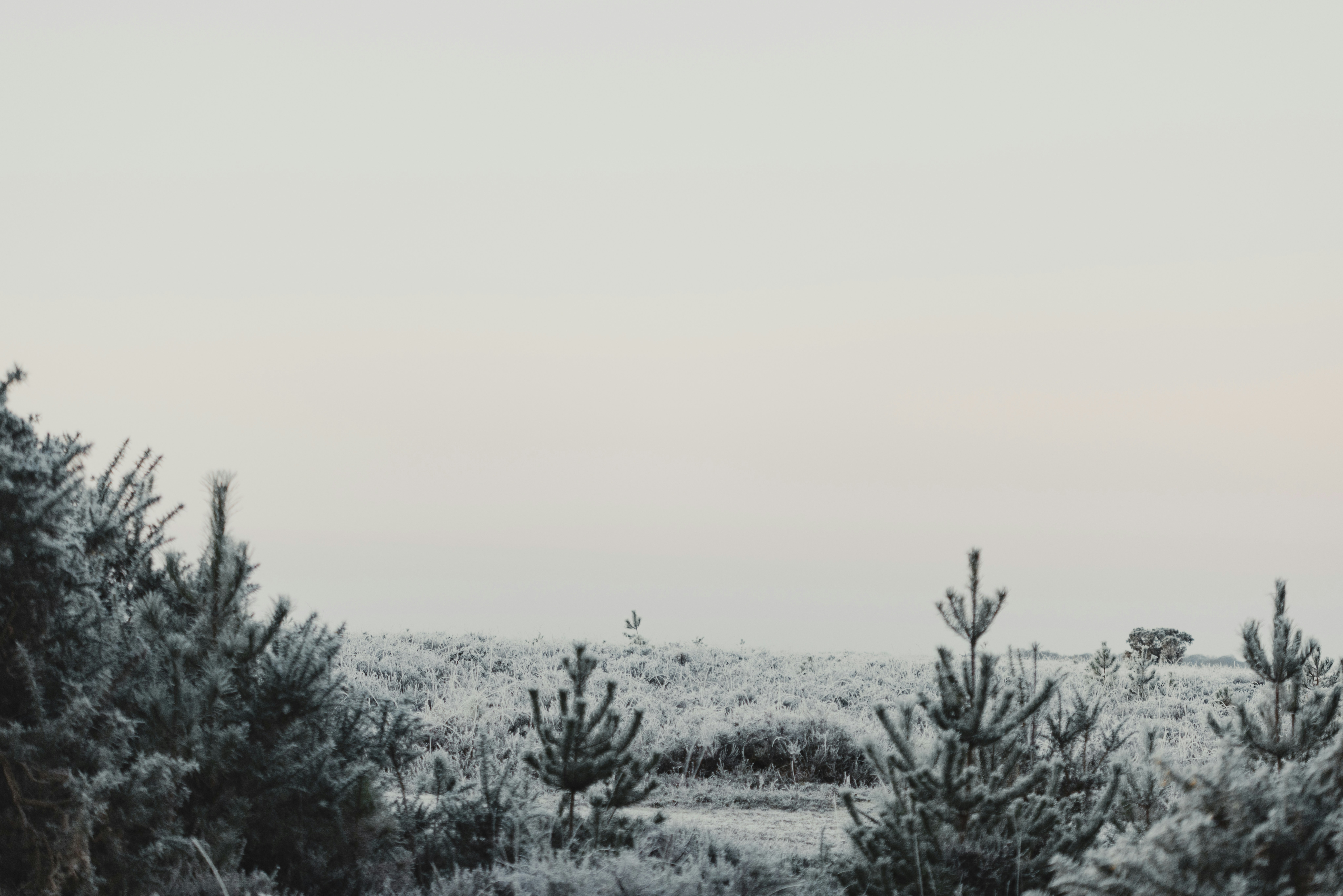 Photo by anniespratt