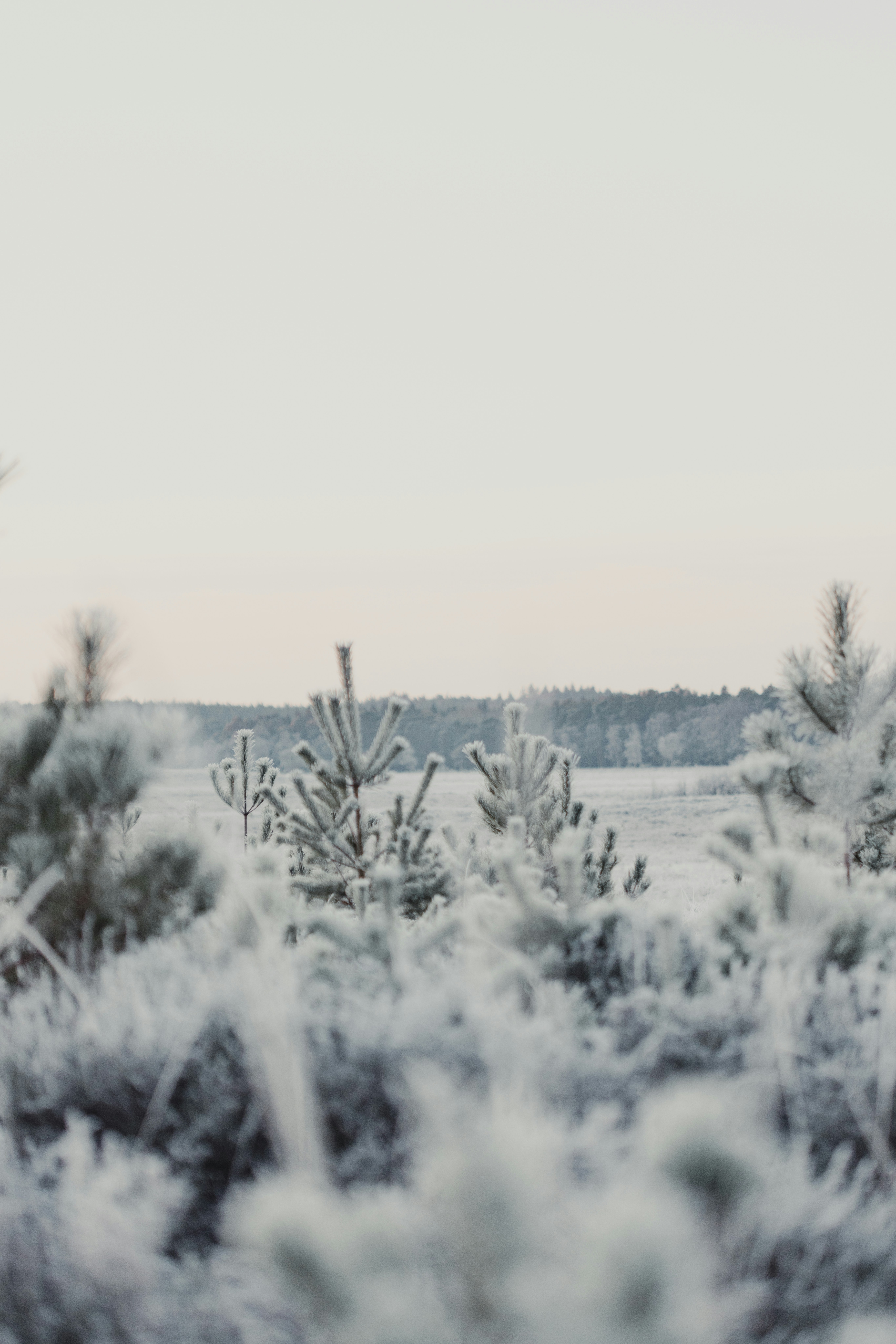 Photo by anniespratt