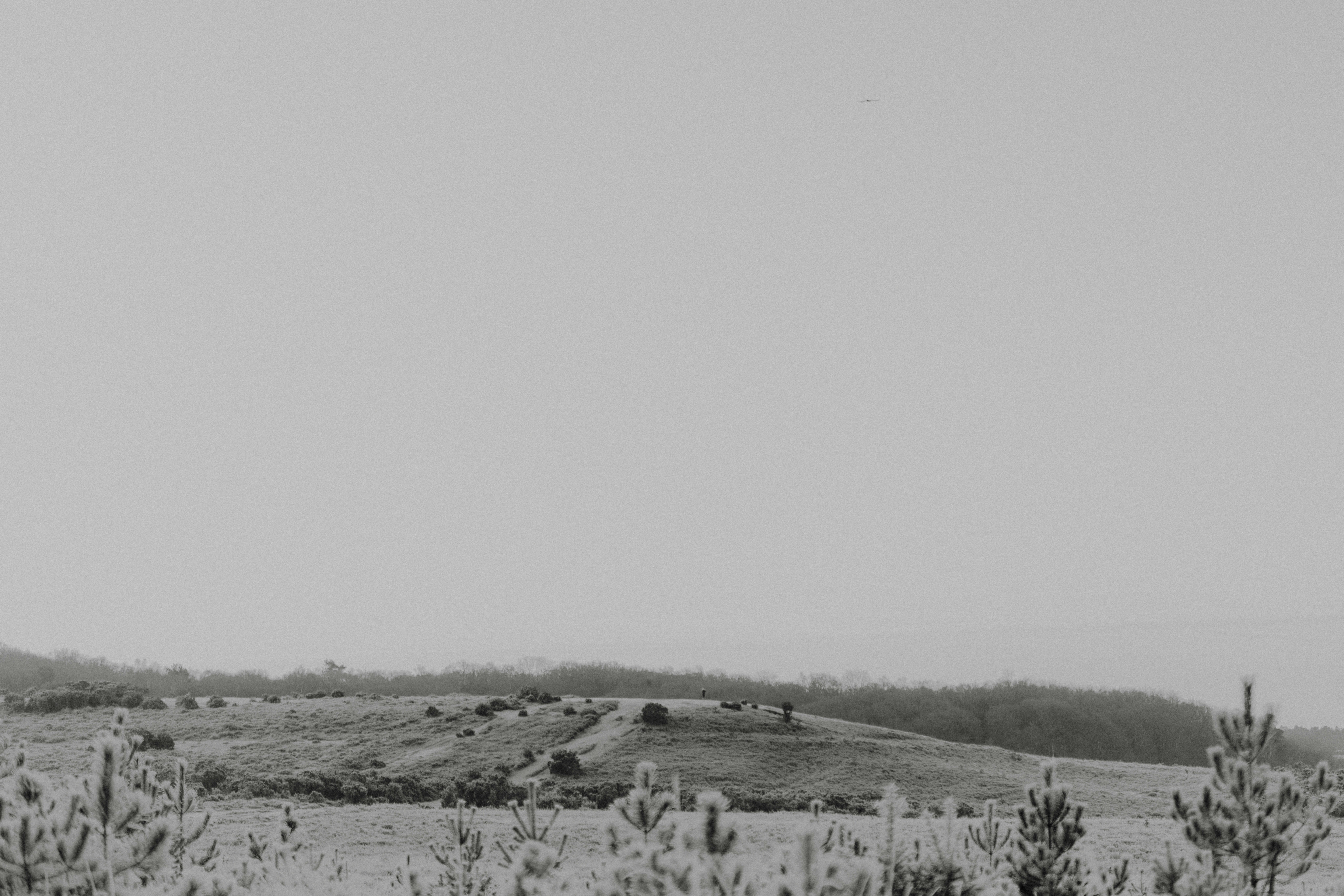 Photo by anniespratt