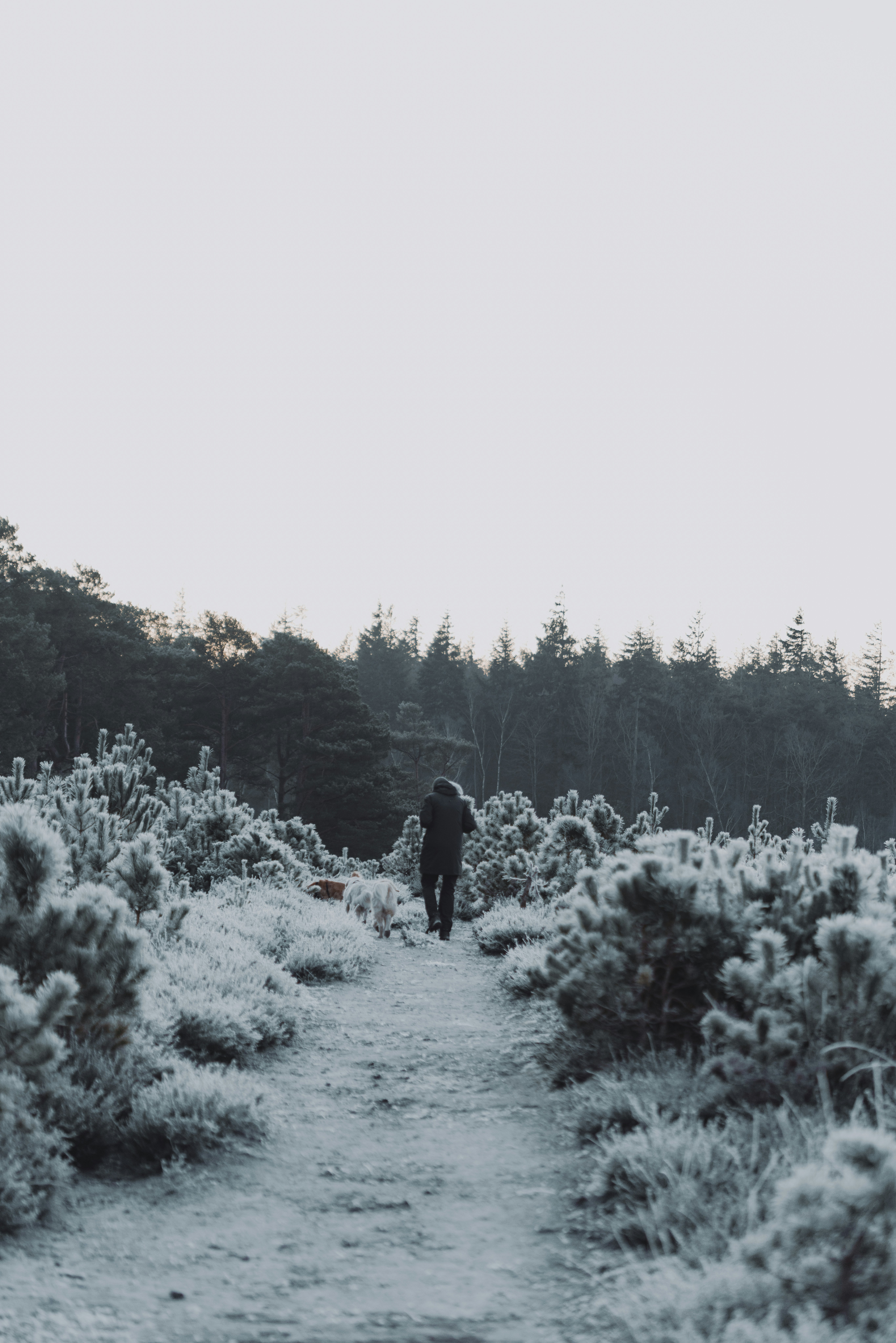 Photo by anniespratt