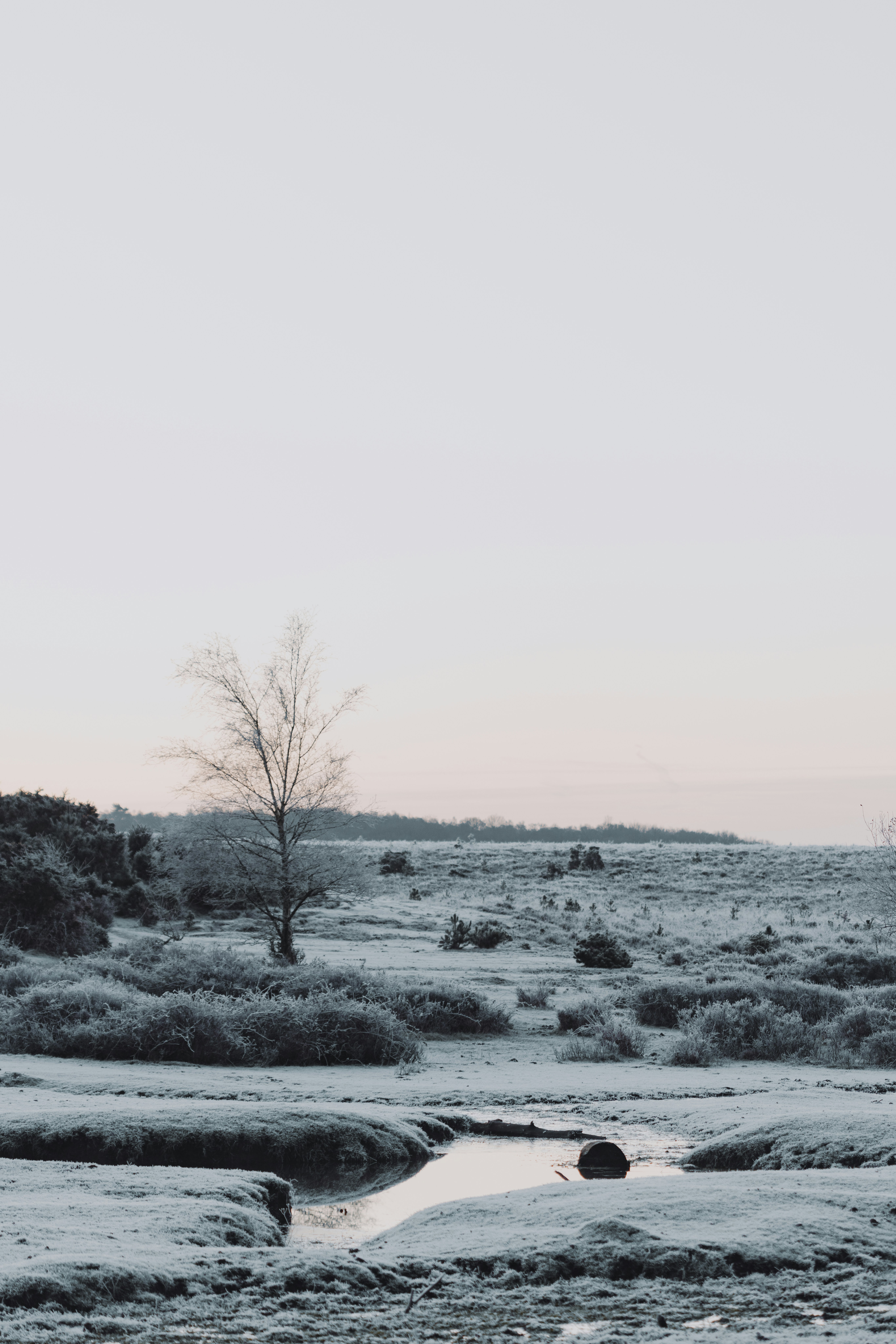 Photo by anniespratt