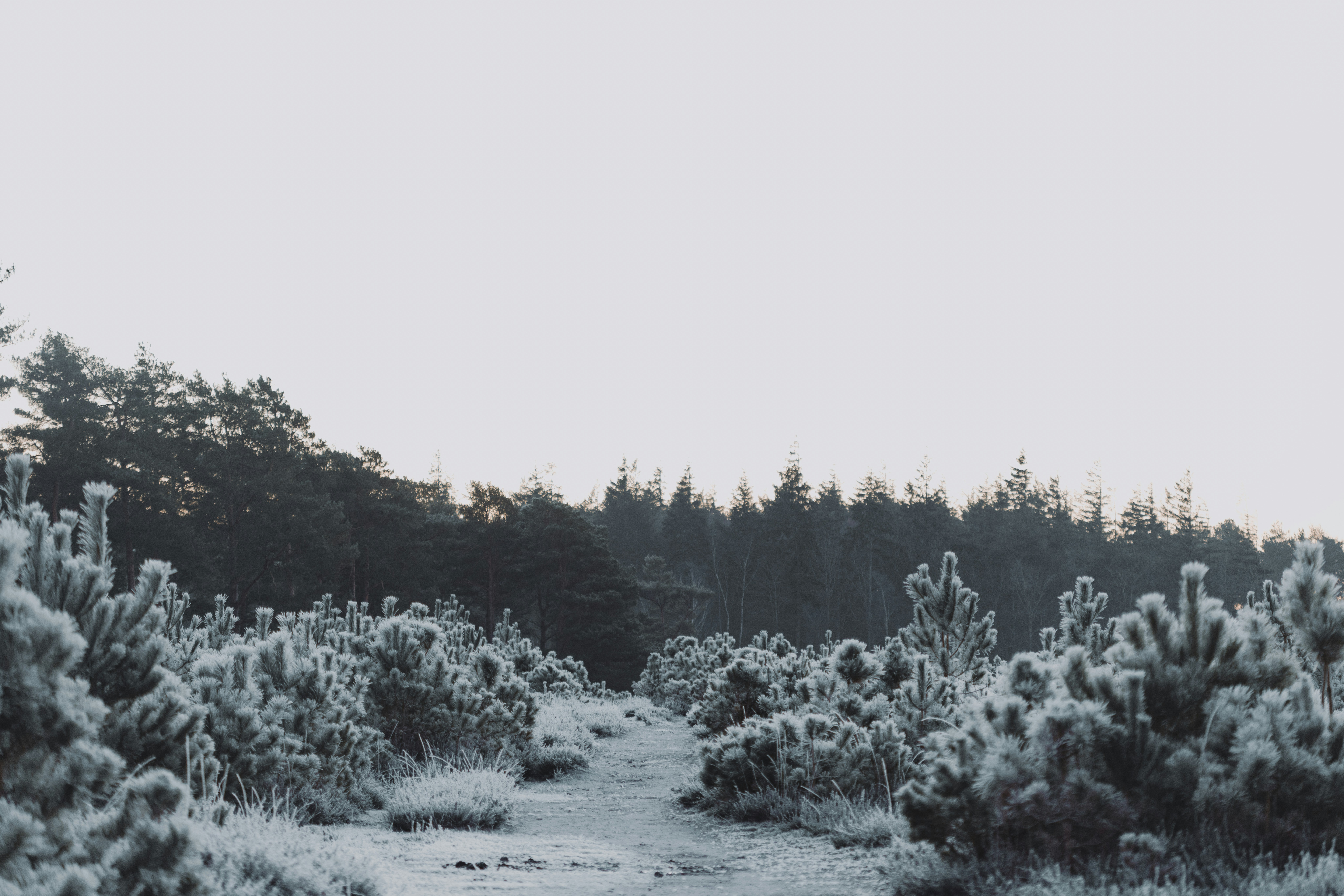 Photo by anniespratt