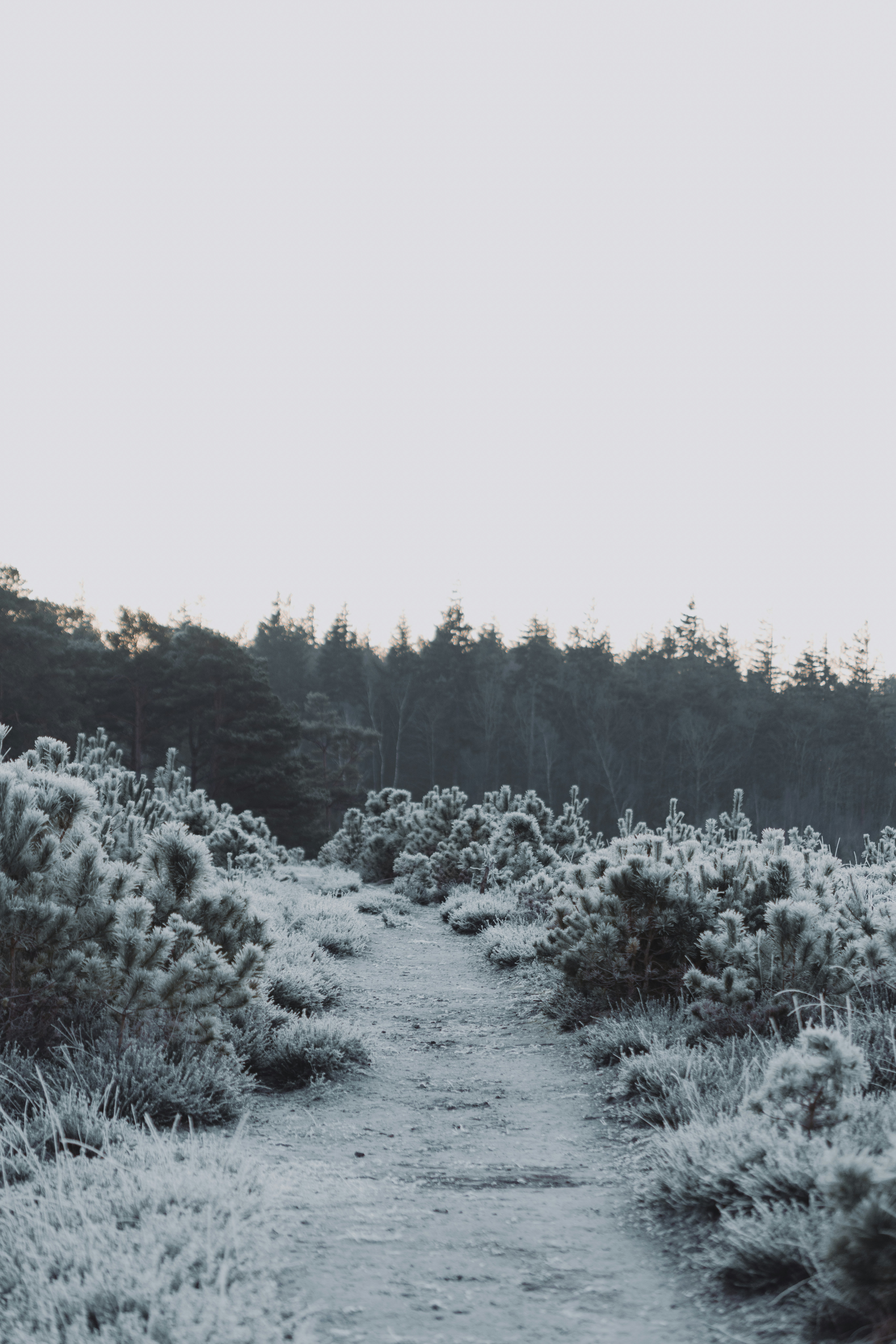 Photo by anniespratt