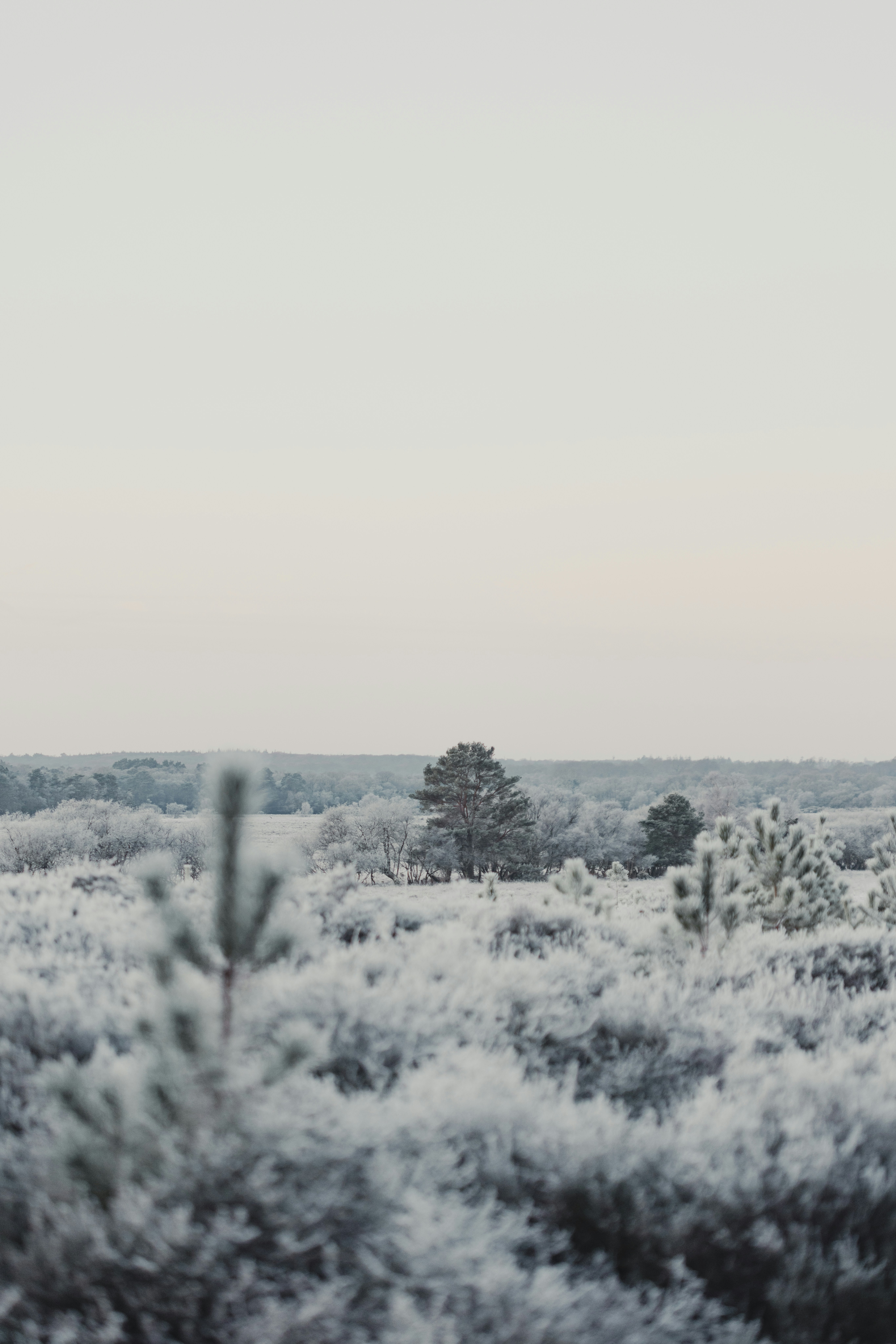 Photo by anniespratt