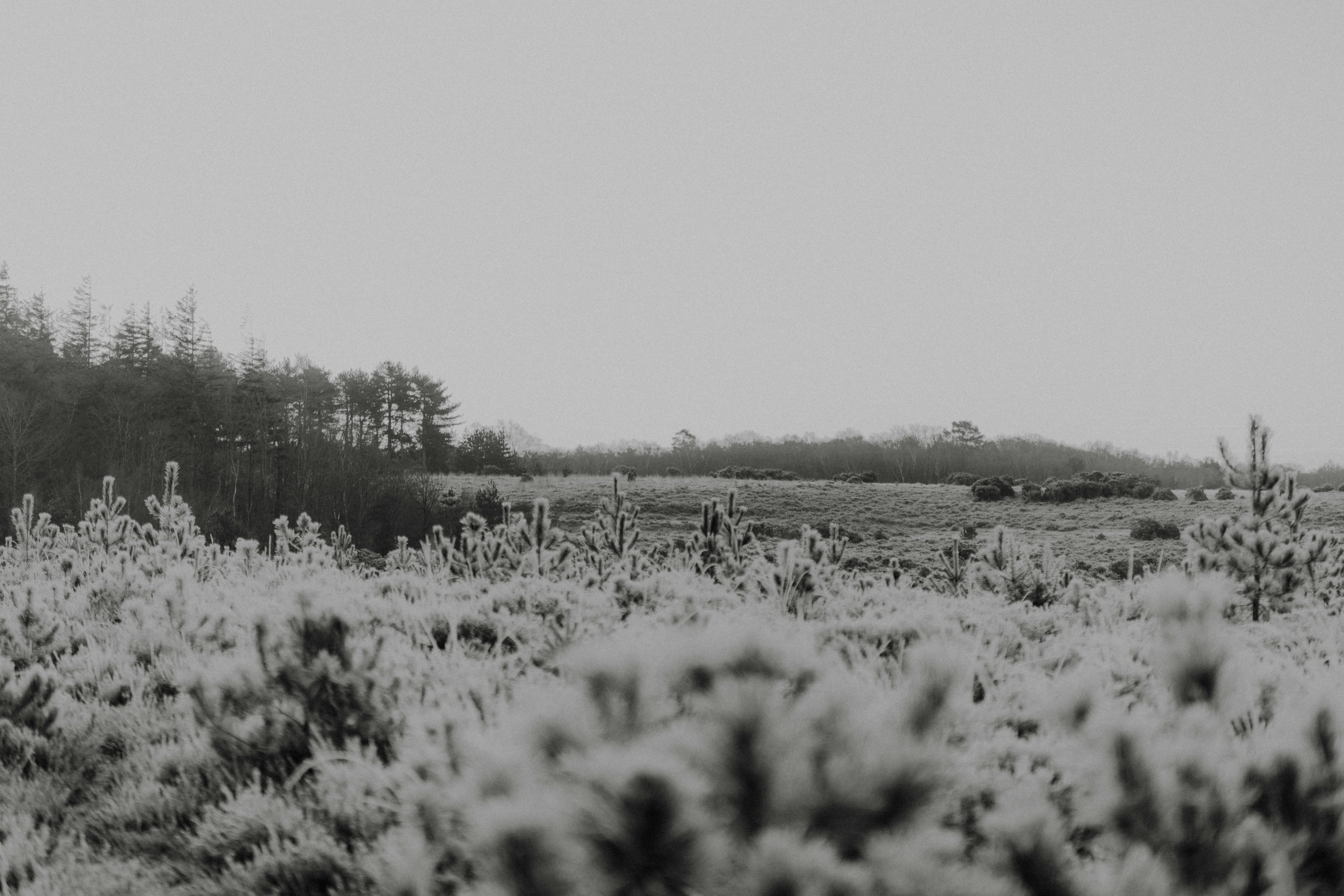 Photo by anniespratt