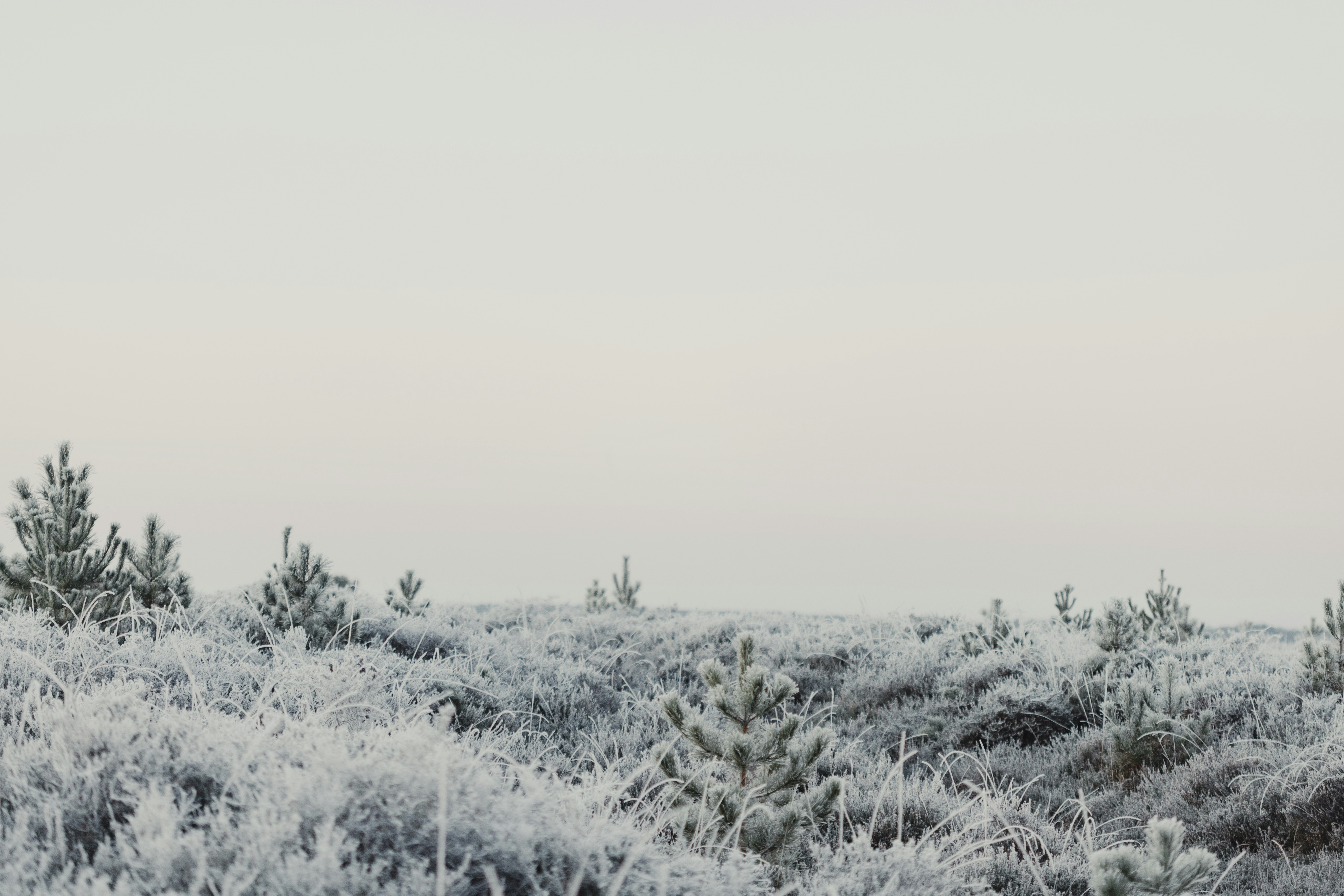 Photo by anniespratt