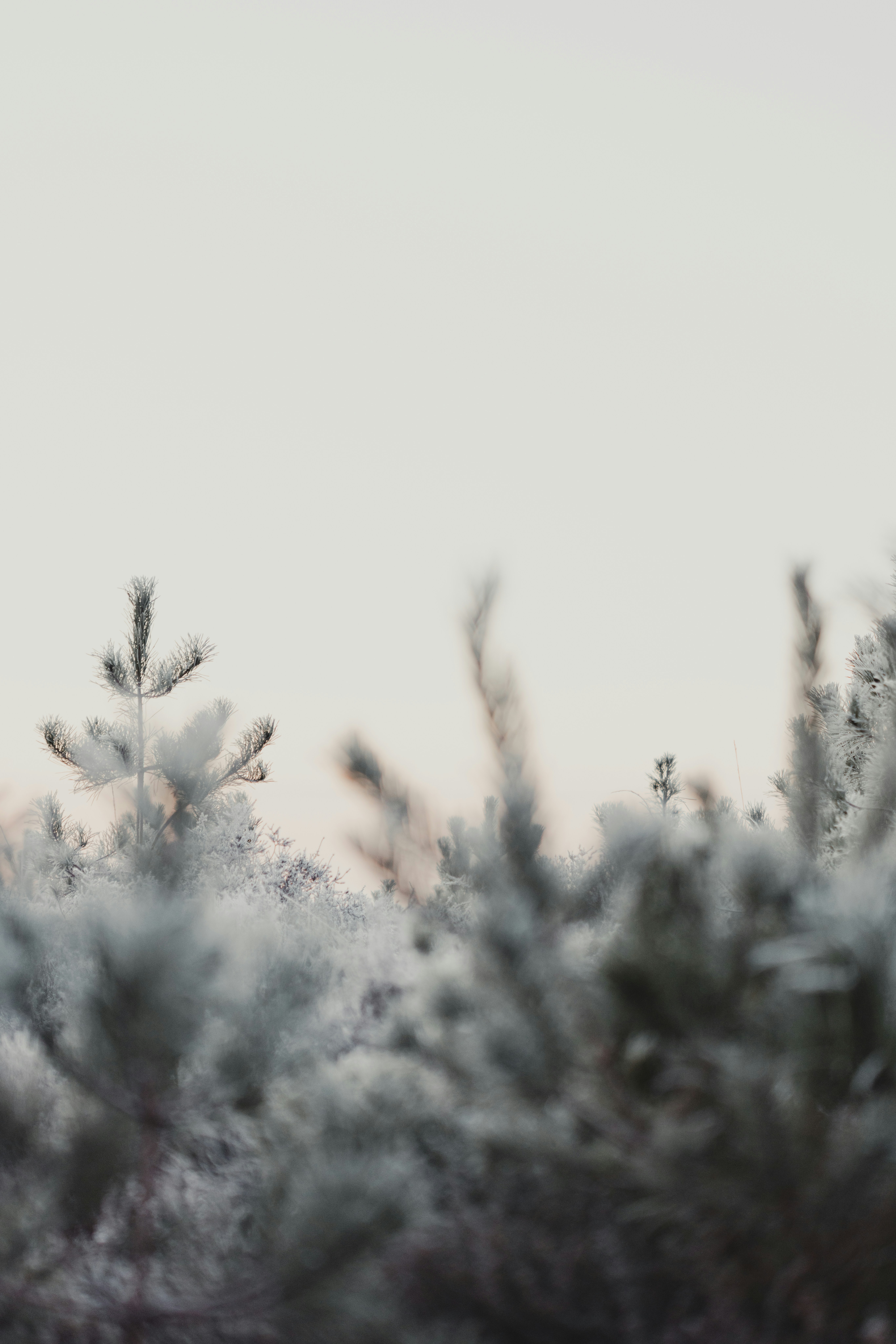 Photo by anniespratt