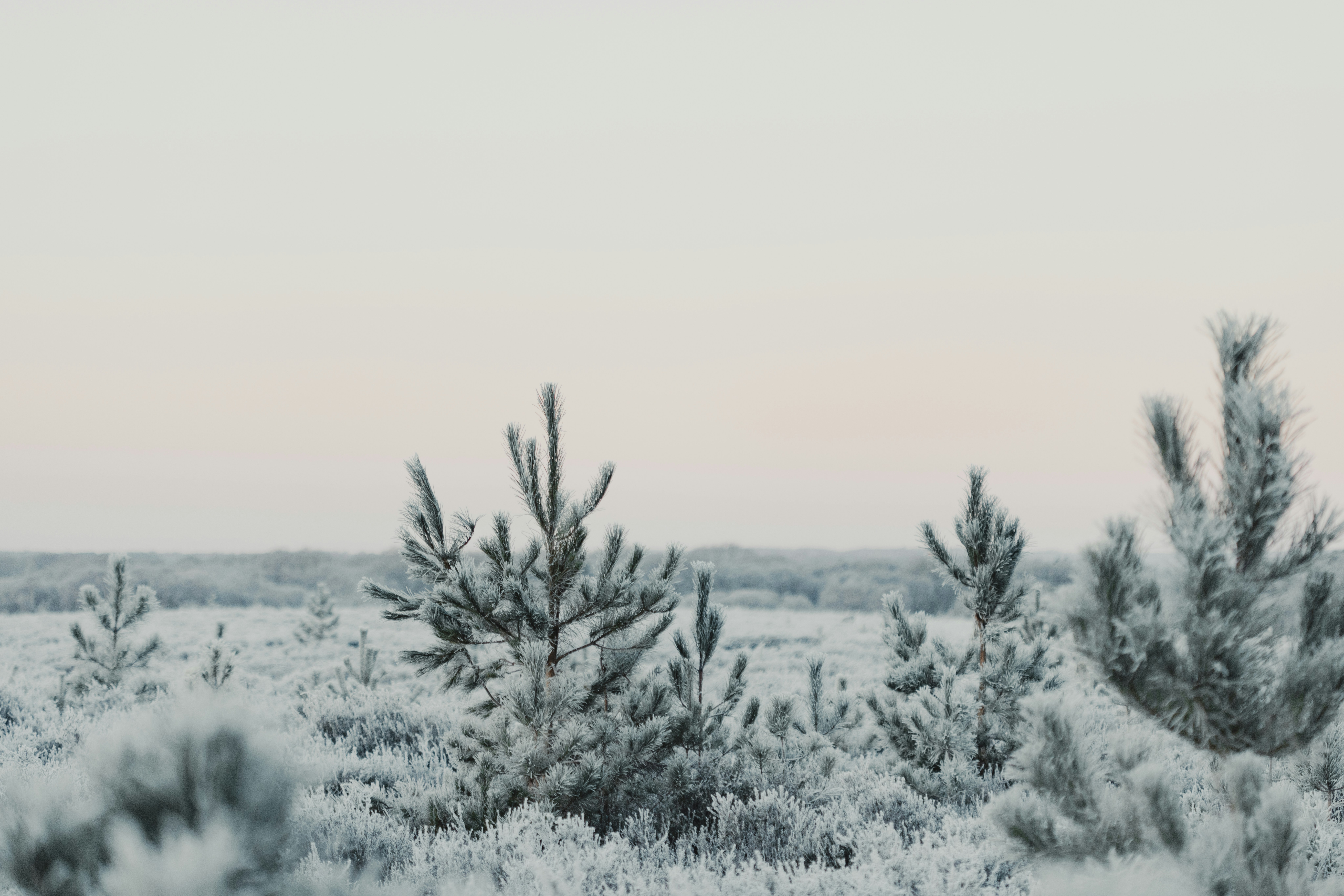 Photo by anniespratt