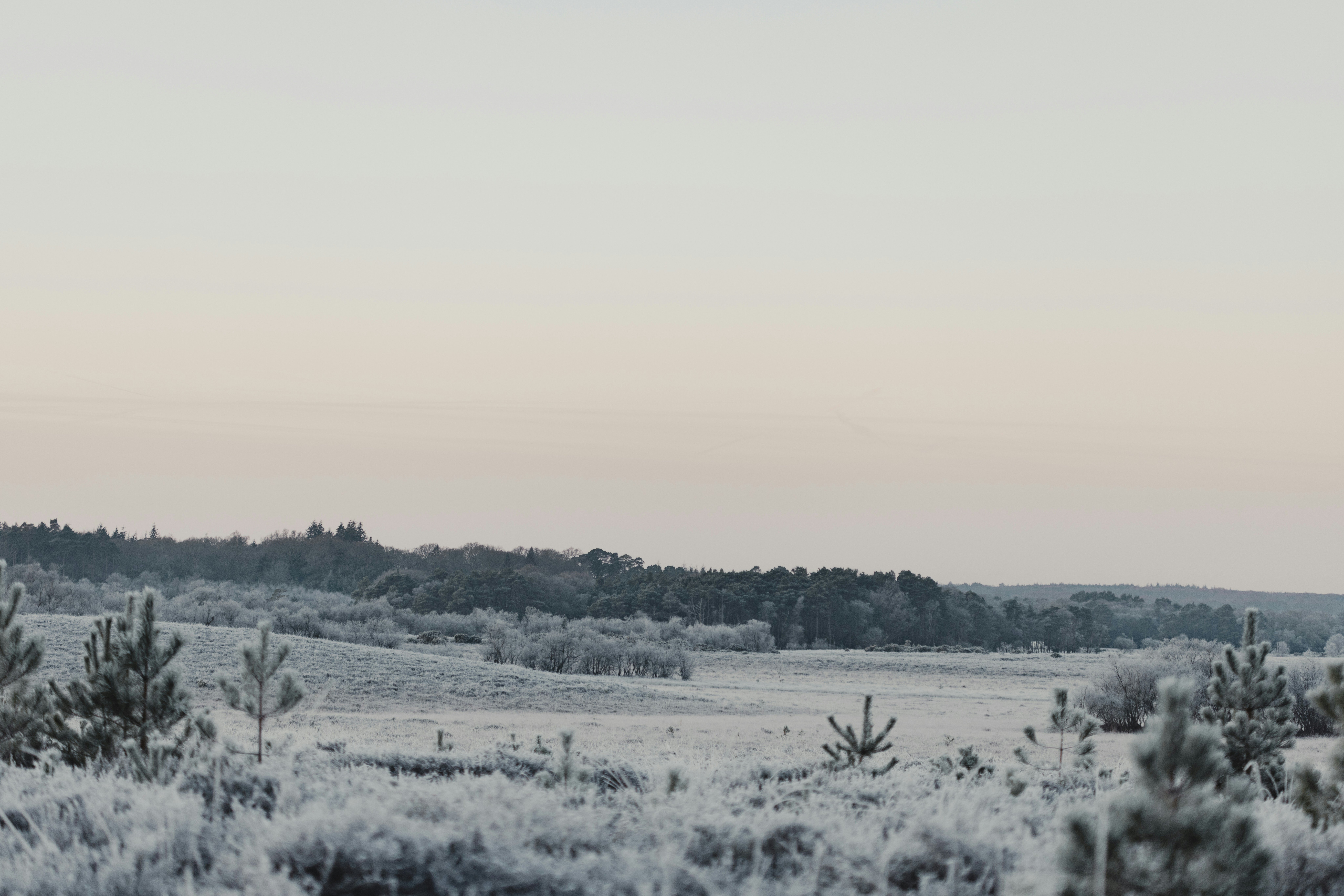 Photo by anniespratt