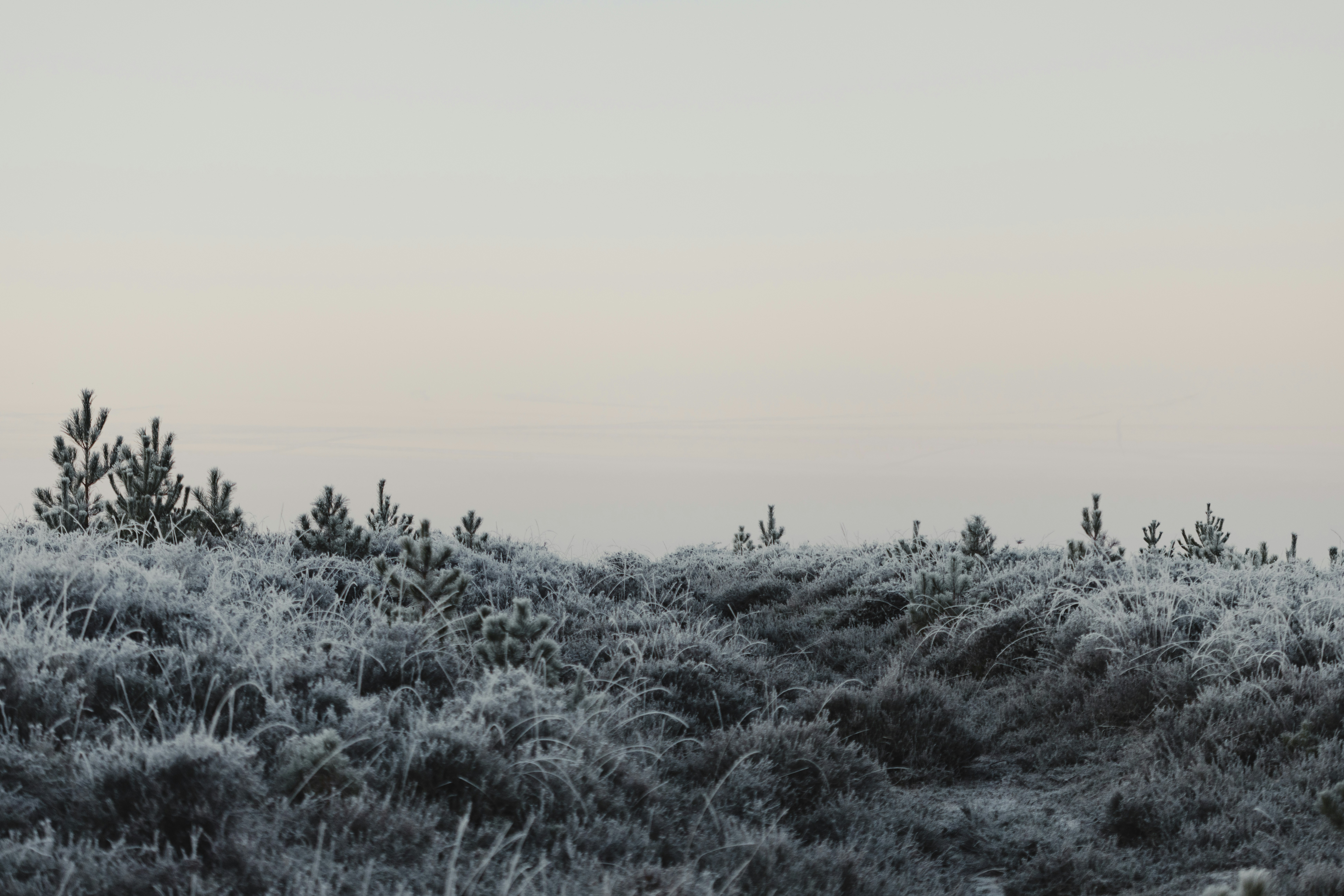 Photo by anniespratt