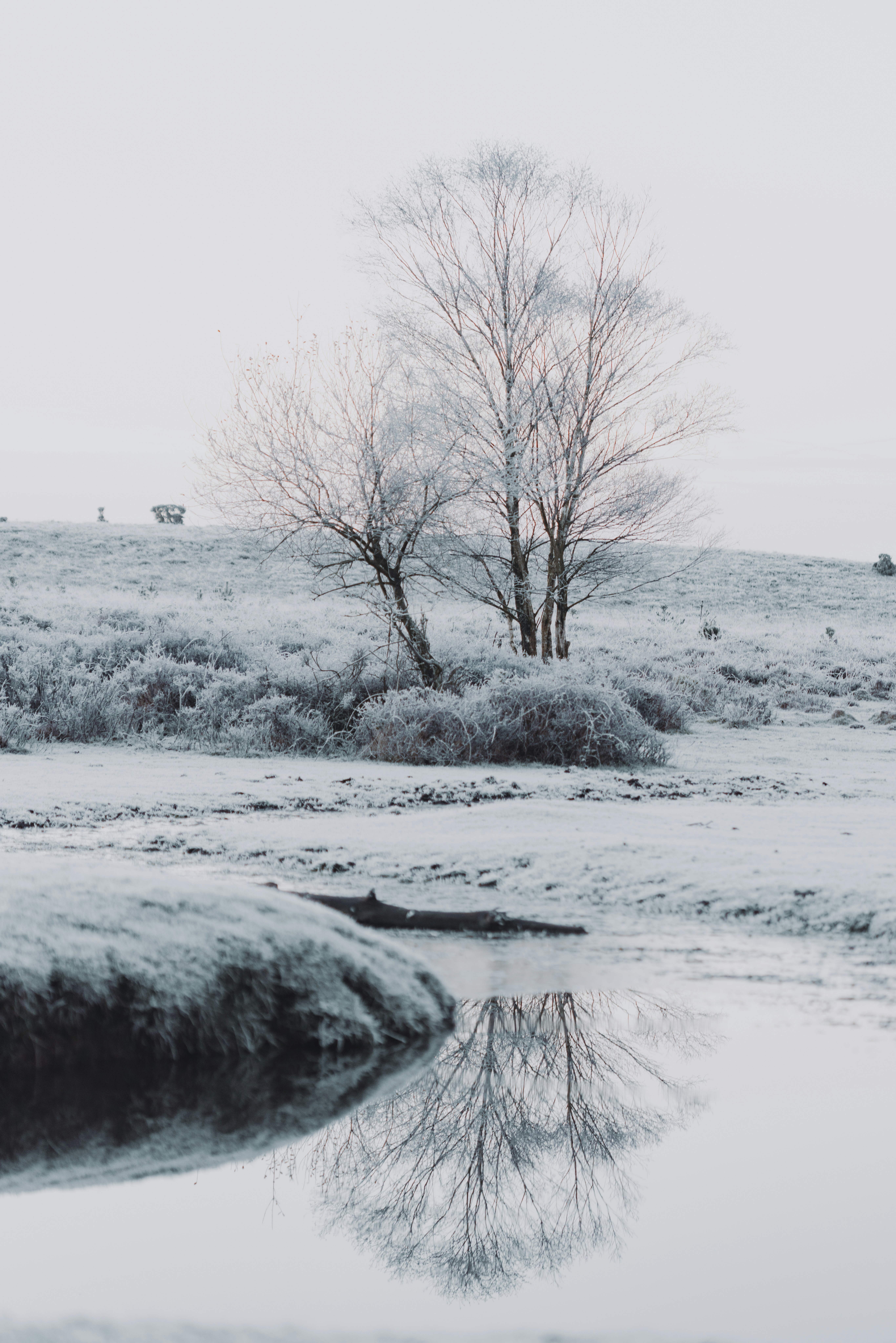 Photo by anniespratt