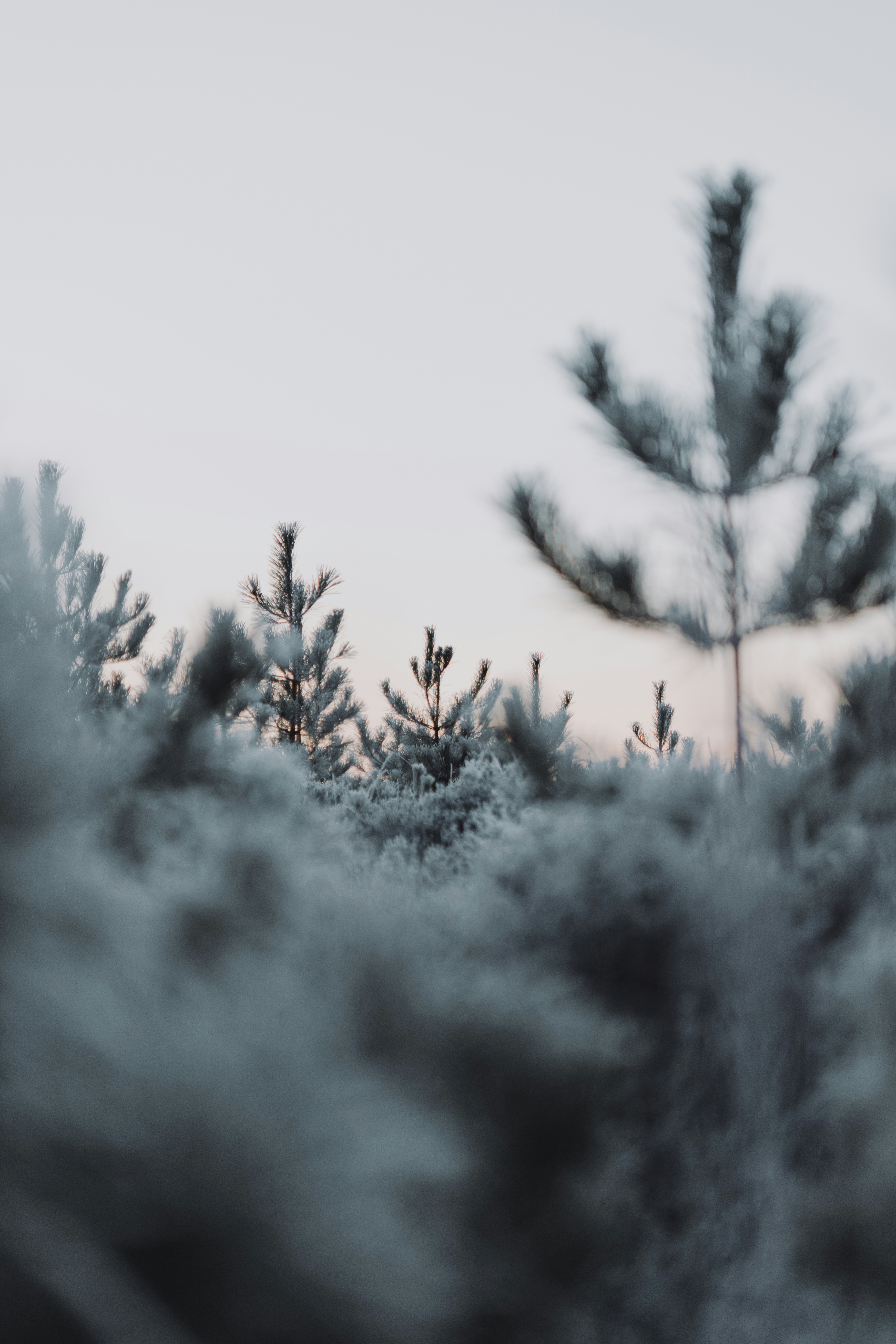 Photo by anniespratt