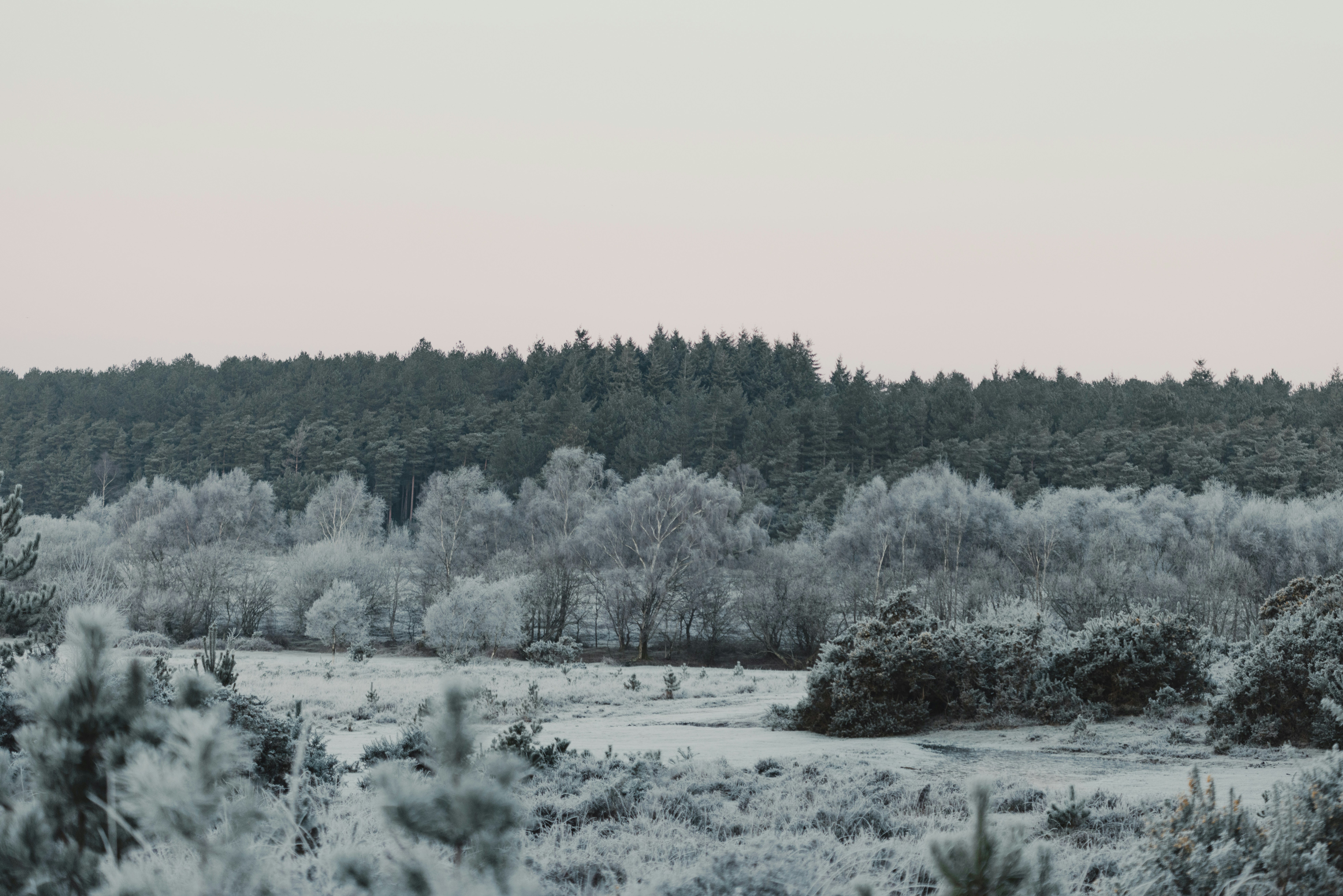 Photo by anniespratt