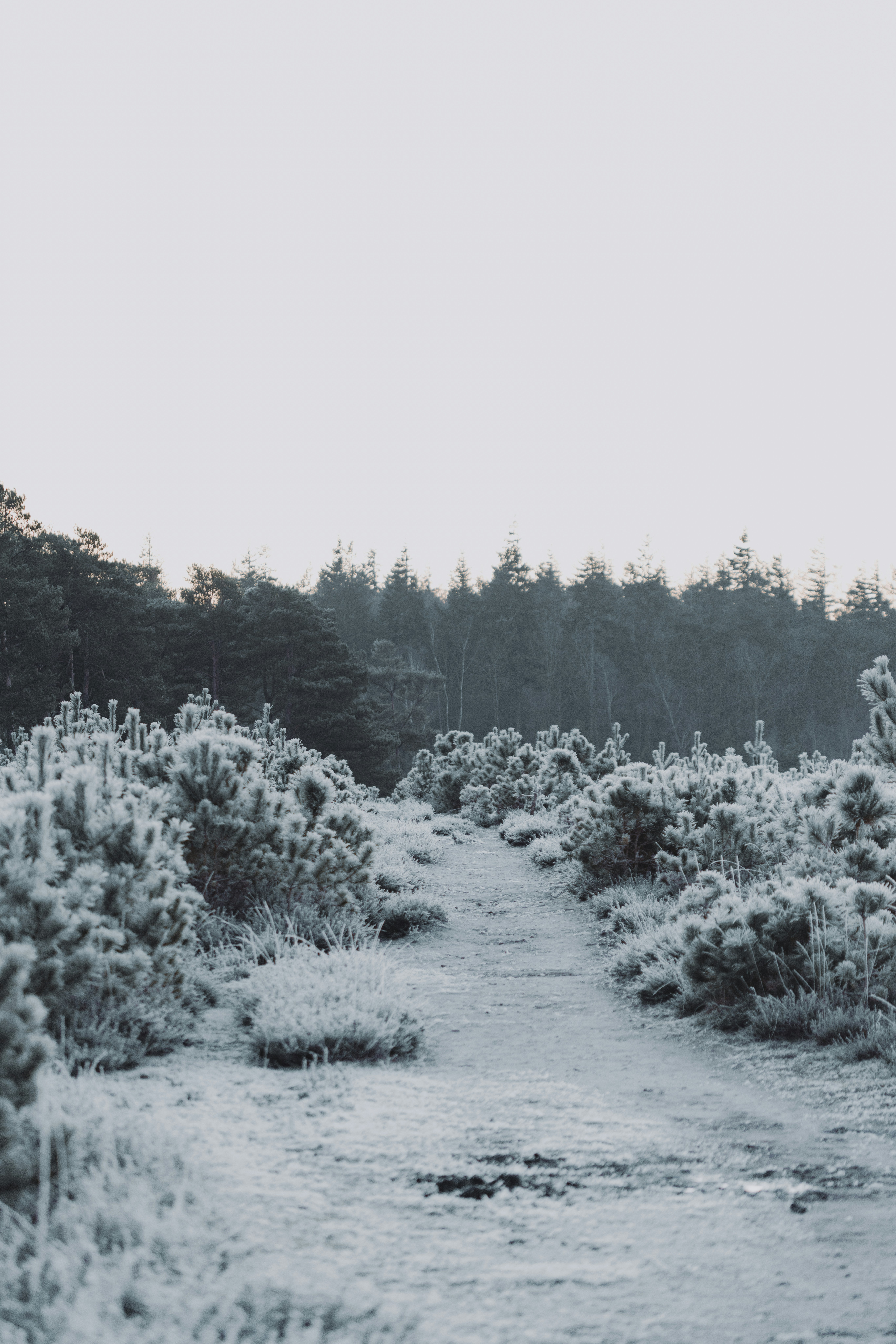 Photo by anniespratt