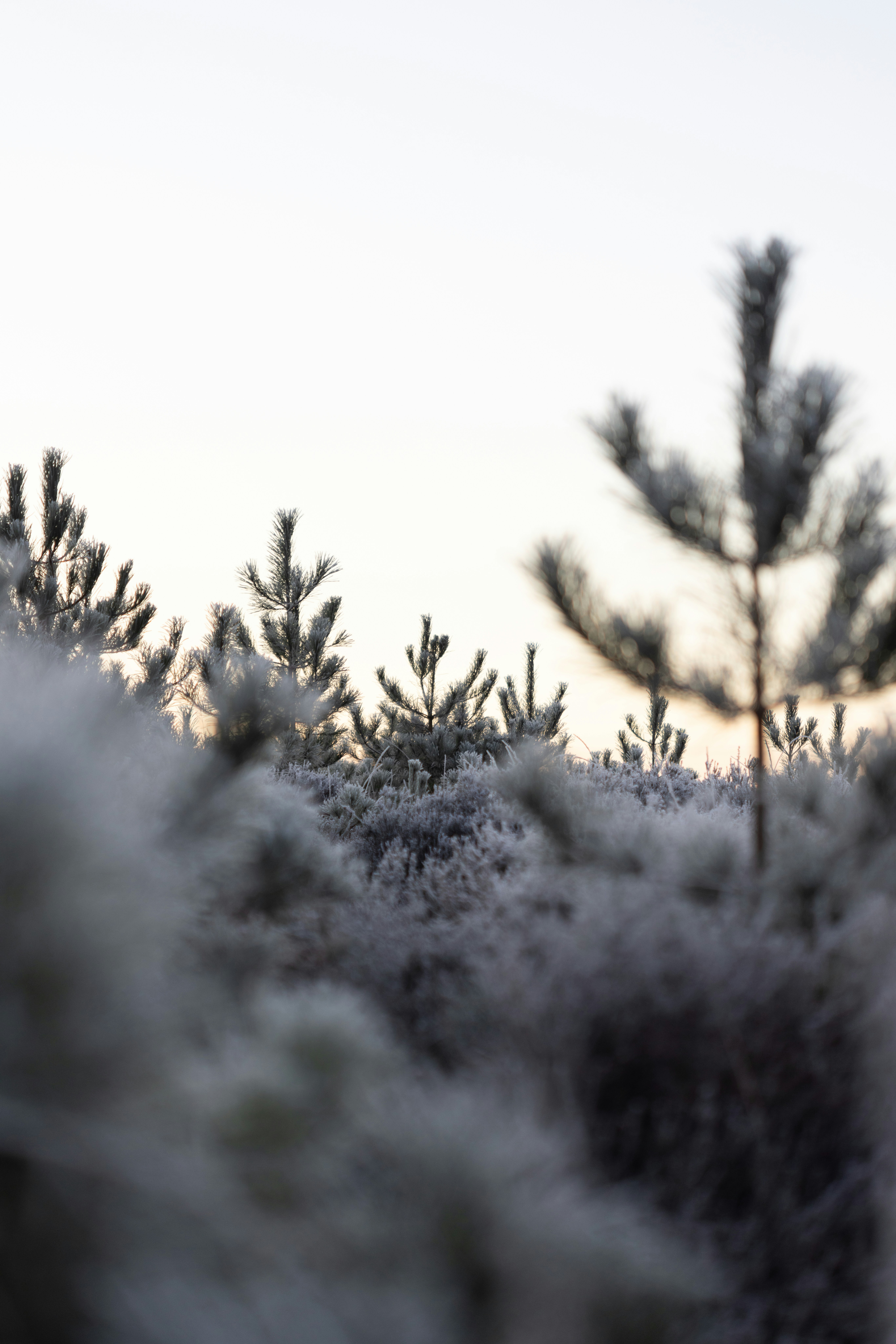 Photo by anniespratt