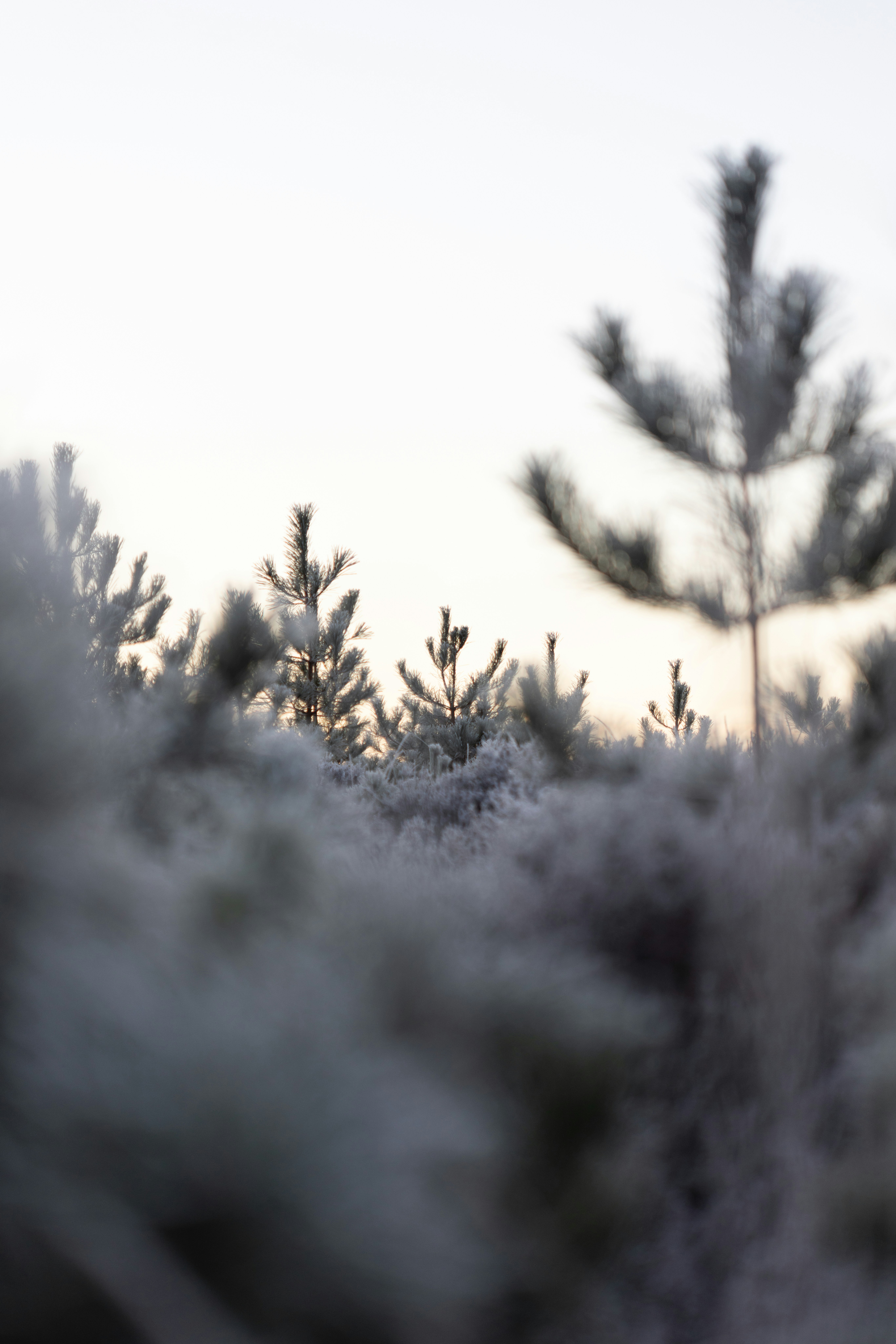 Photo by anniespratt